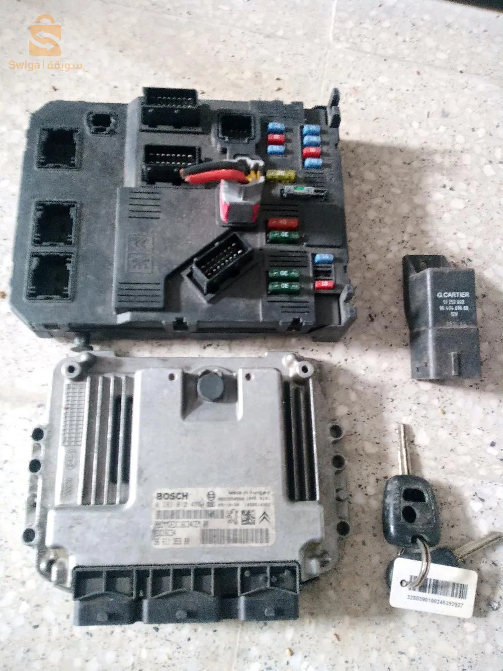 وادي الزناتي قالمة