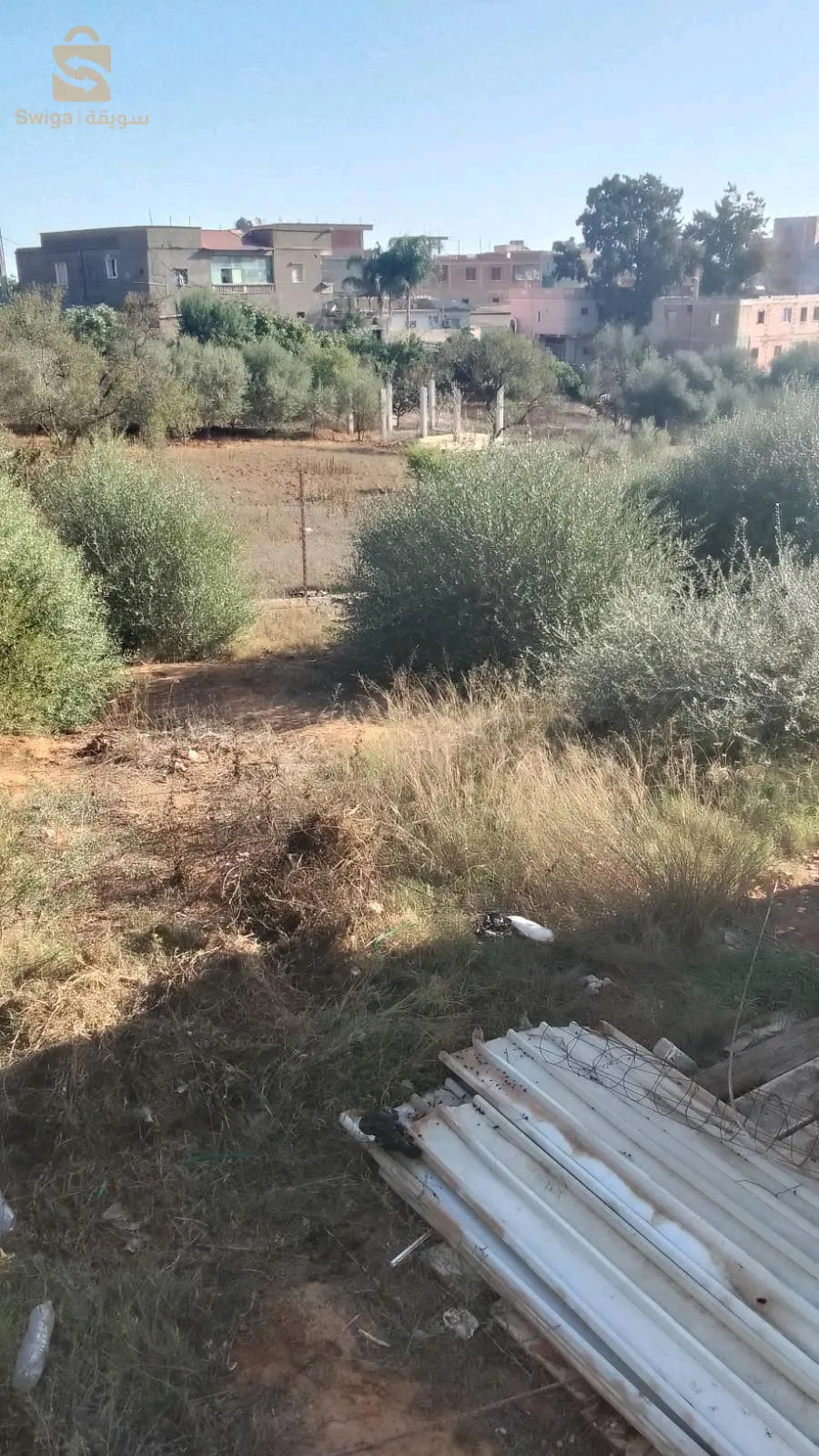 ارض صالحة لي البناء