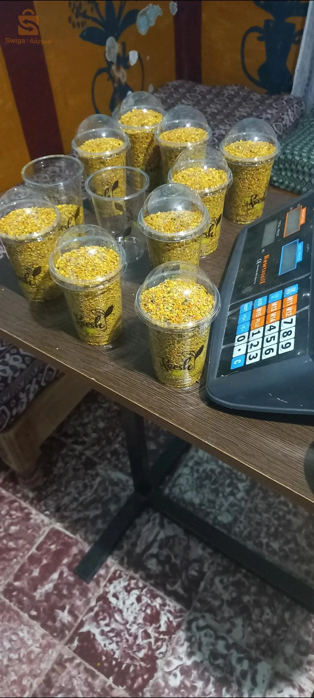 عين البرد