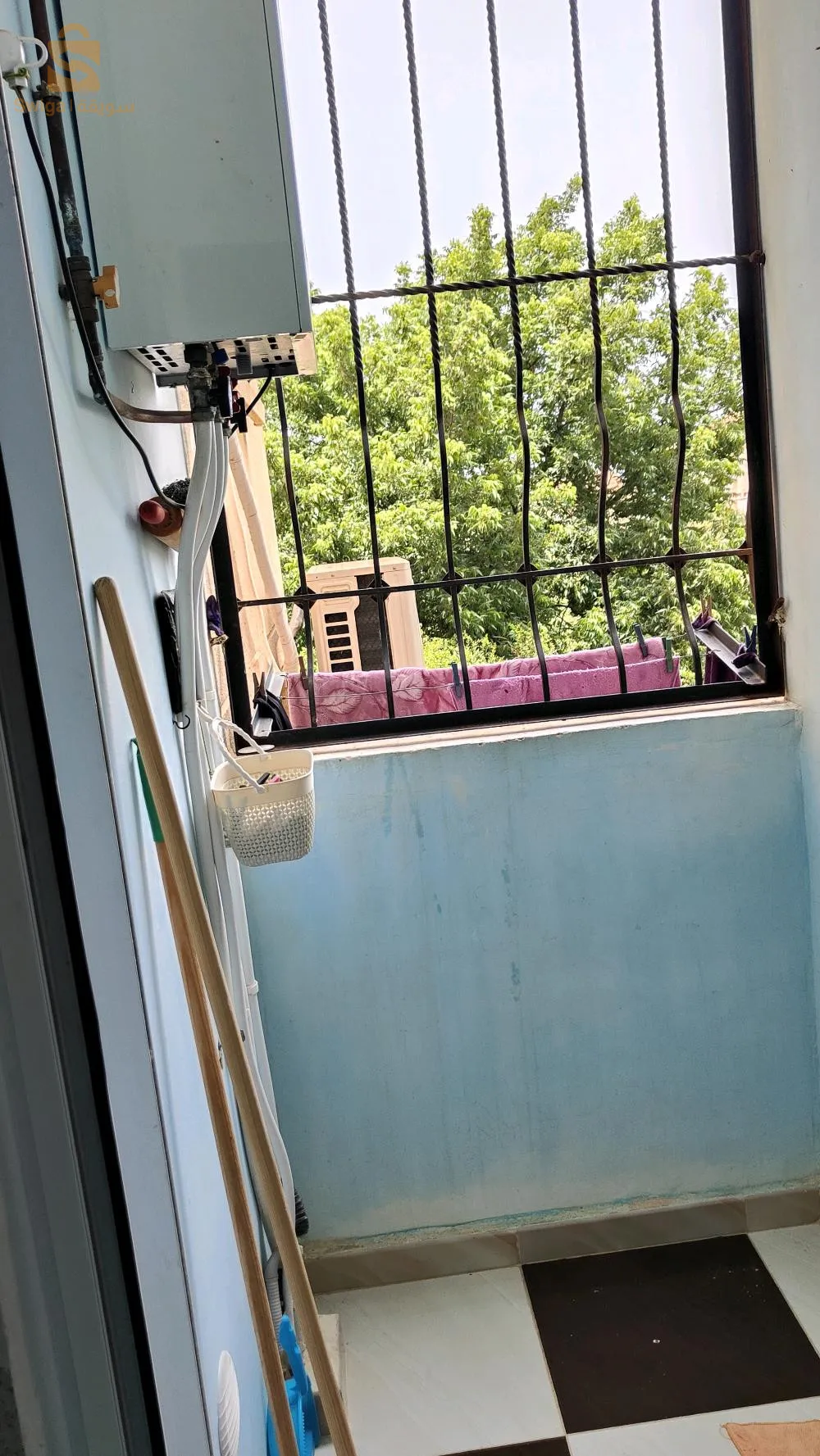 سيد المجني دلس