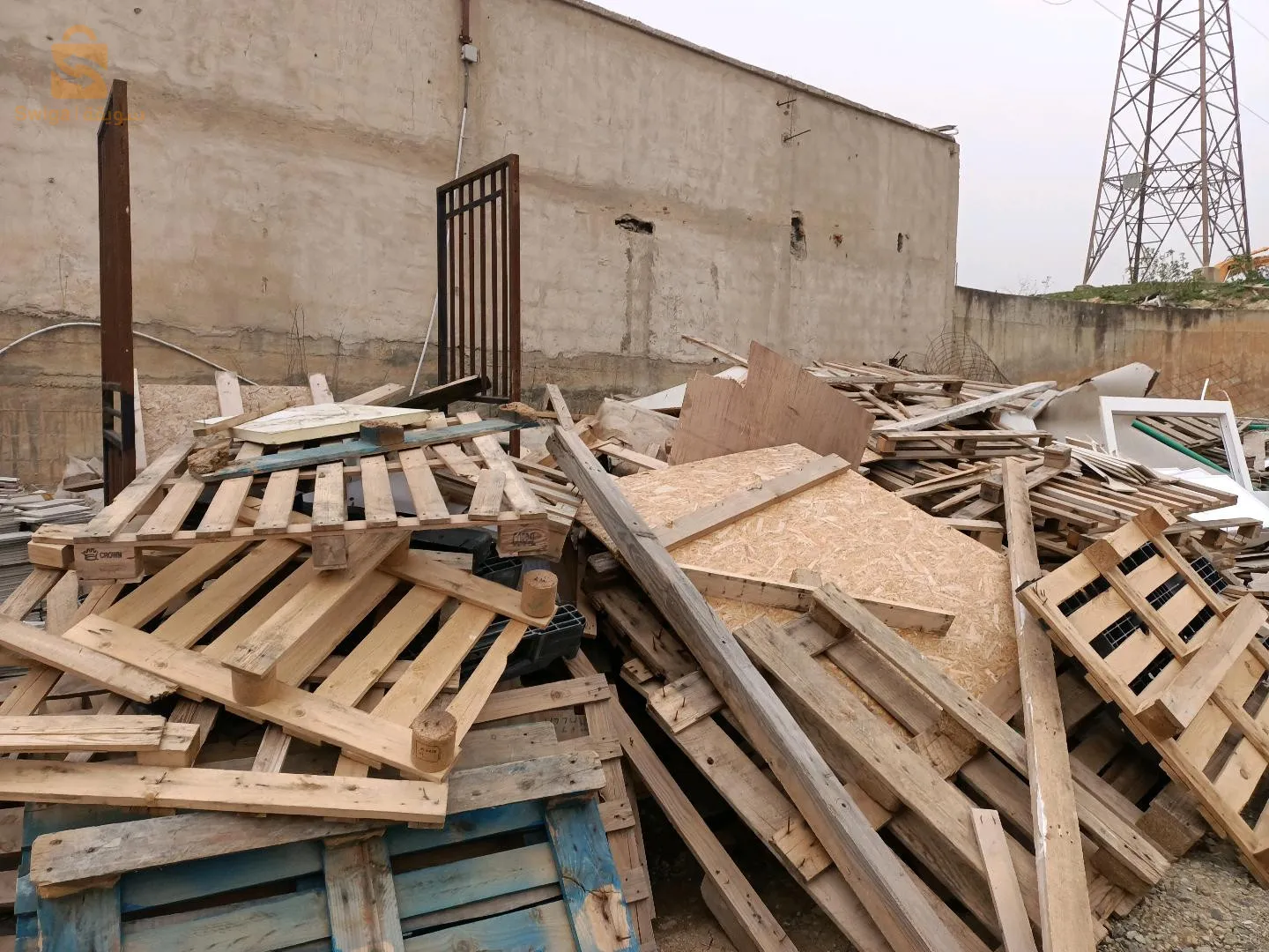 الكاليتوس ولاية الجزائر