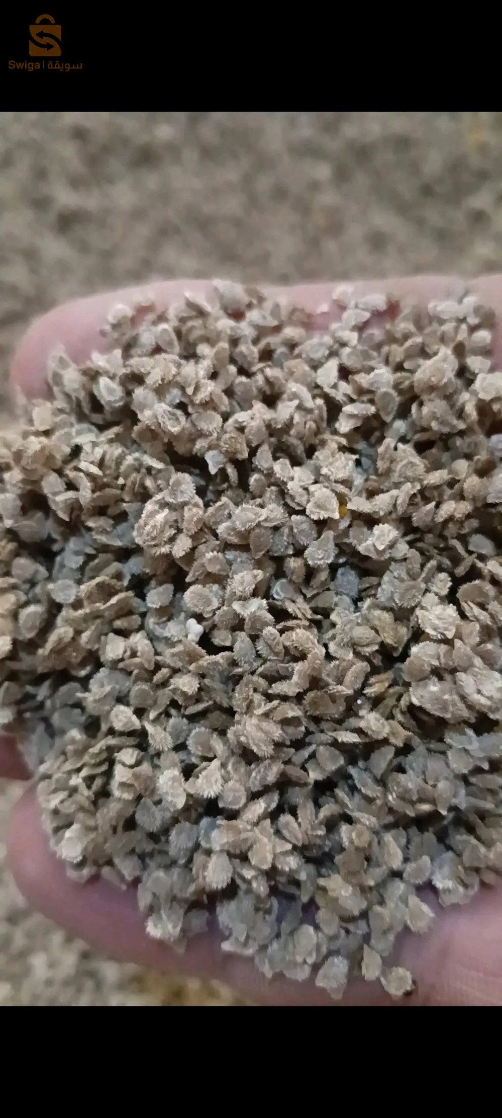 بذور من مزرعتي طبيعية و ناجحة بعد تجربة