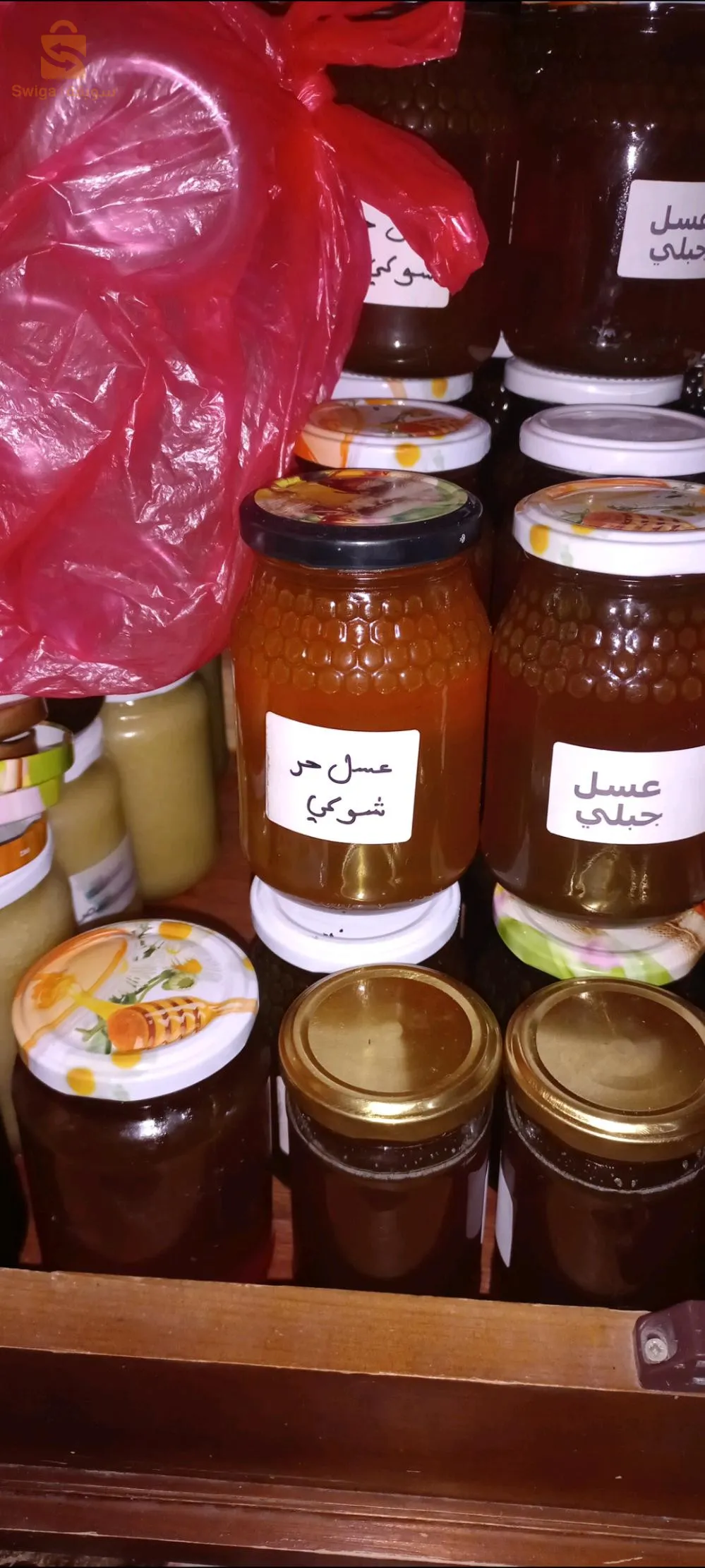 عين البرد