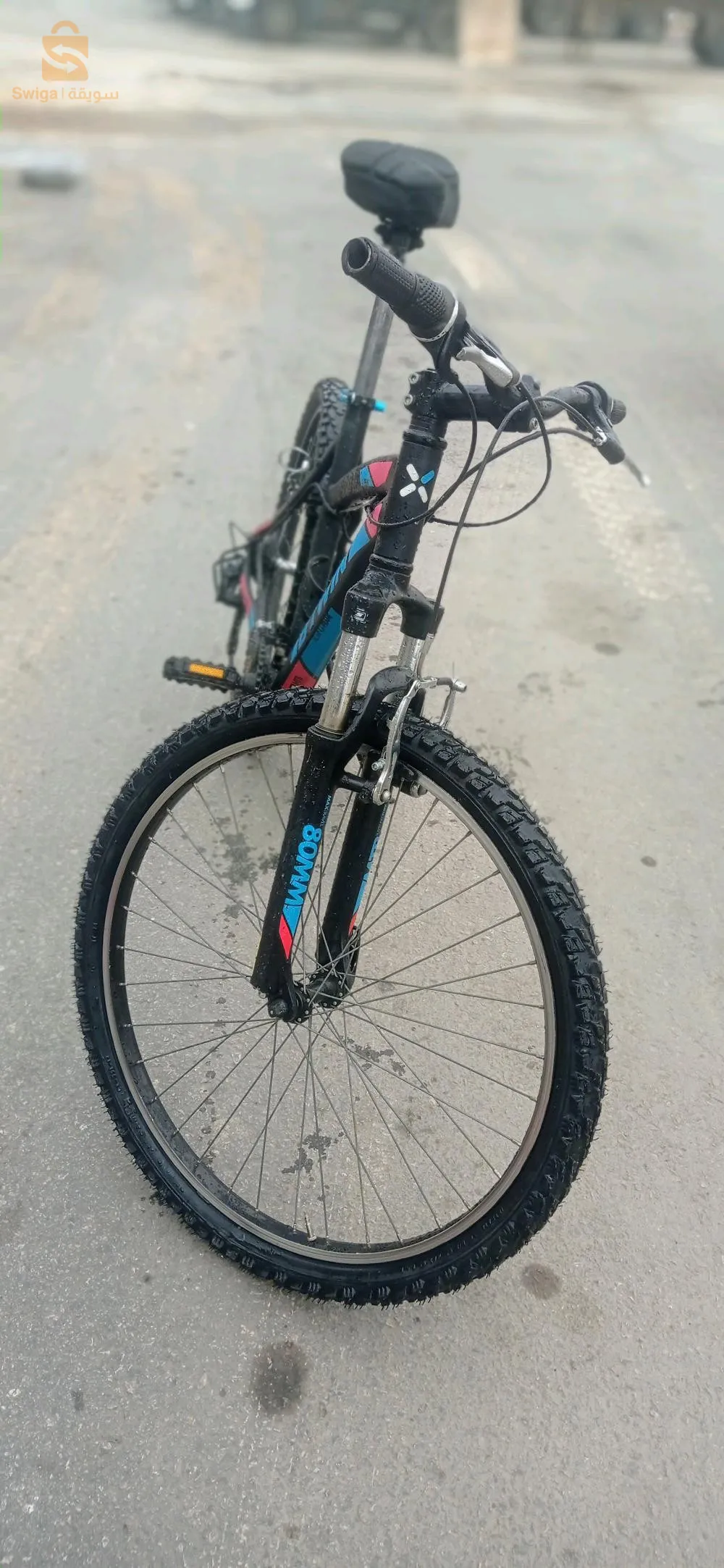 البليدة