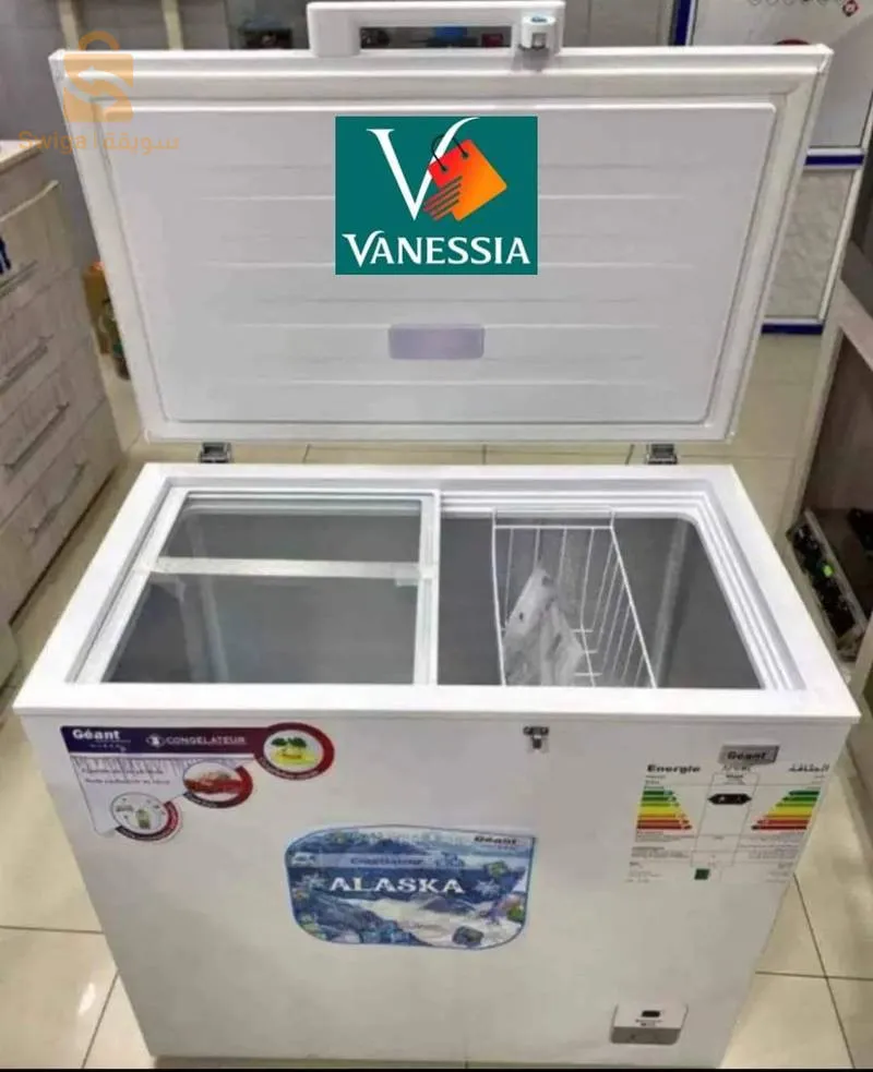 Congélateur marque géant 260L blanc