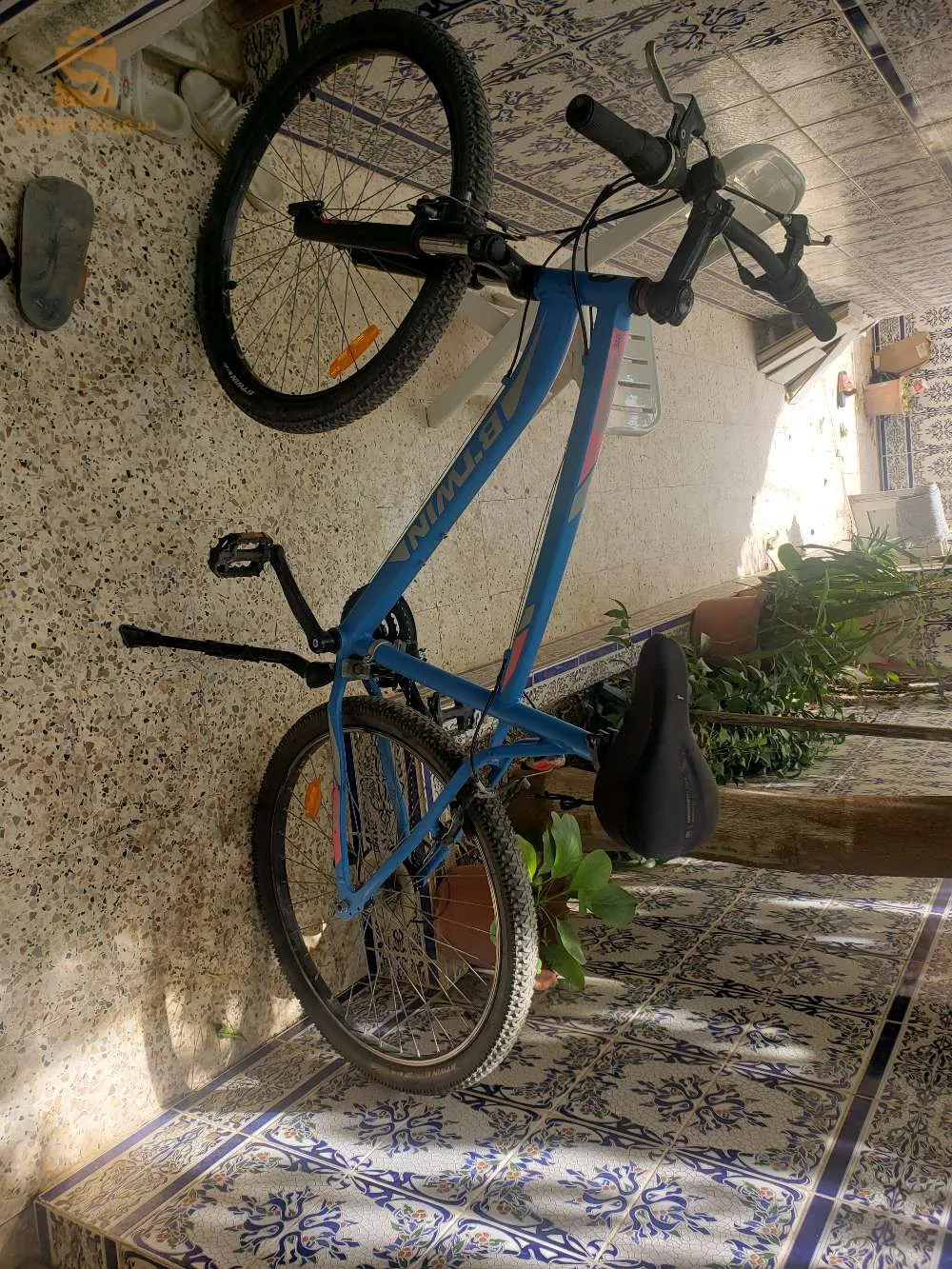 bordj el emir aek ain Romana mouzaia