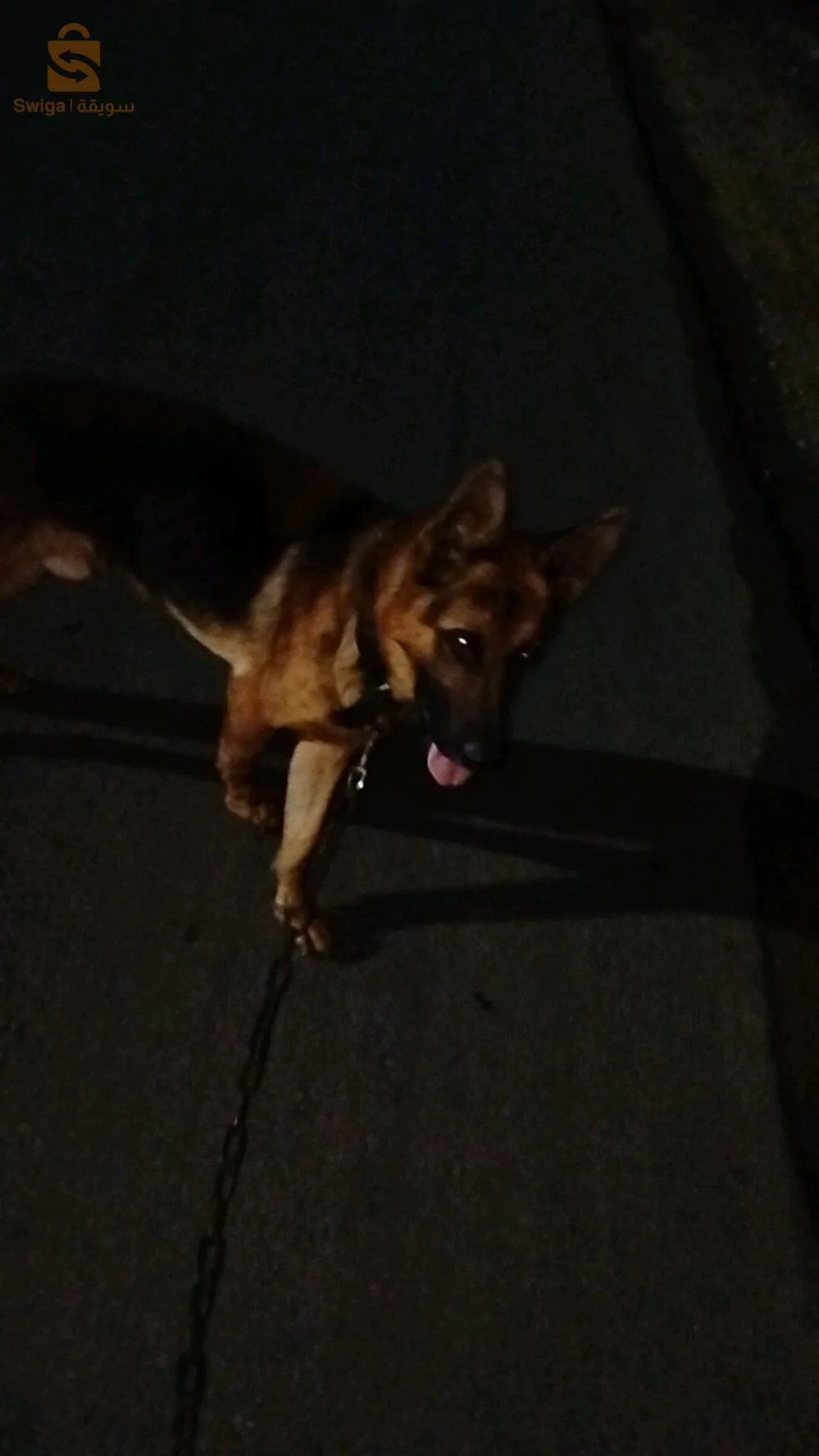 مال بارجي المو 0666632426