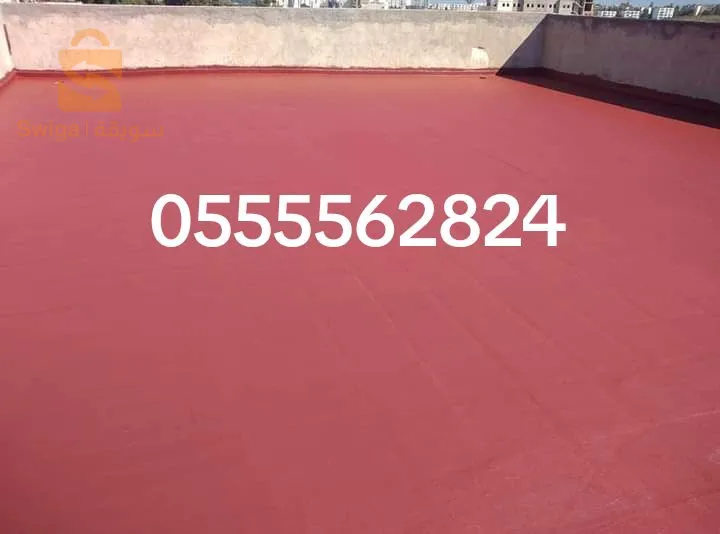 محترفين العزل