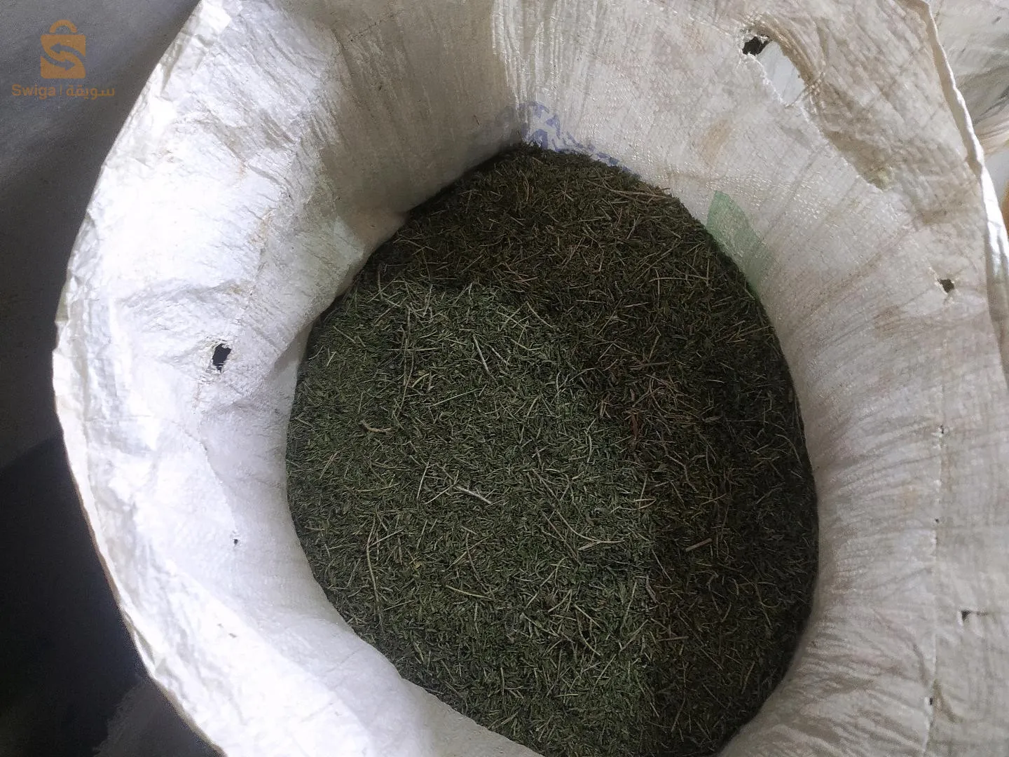 زعيترة جديدة  سلعة مشاء الله