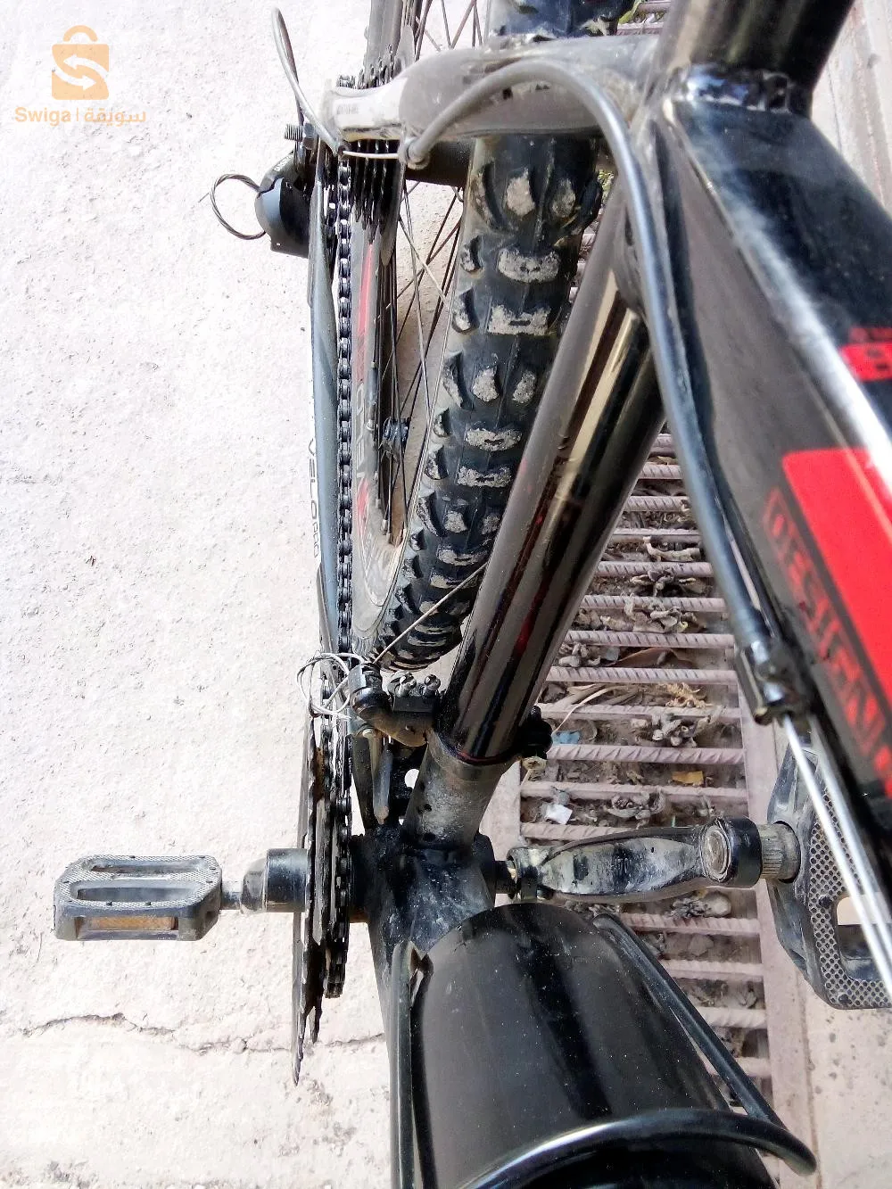 تلمسان حي اوجليدة