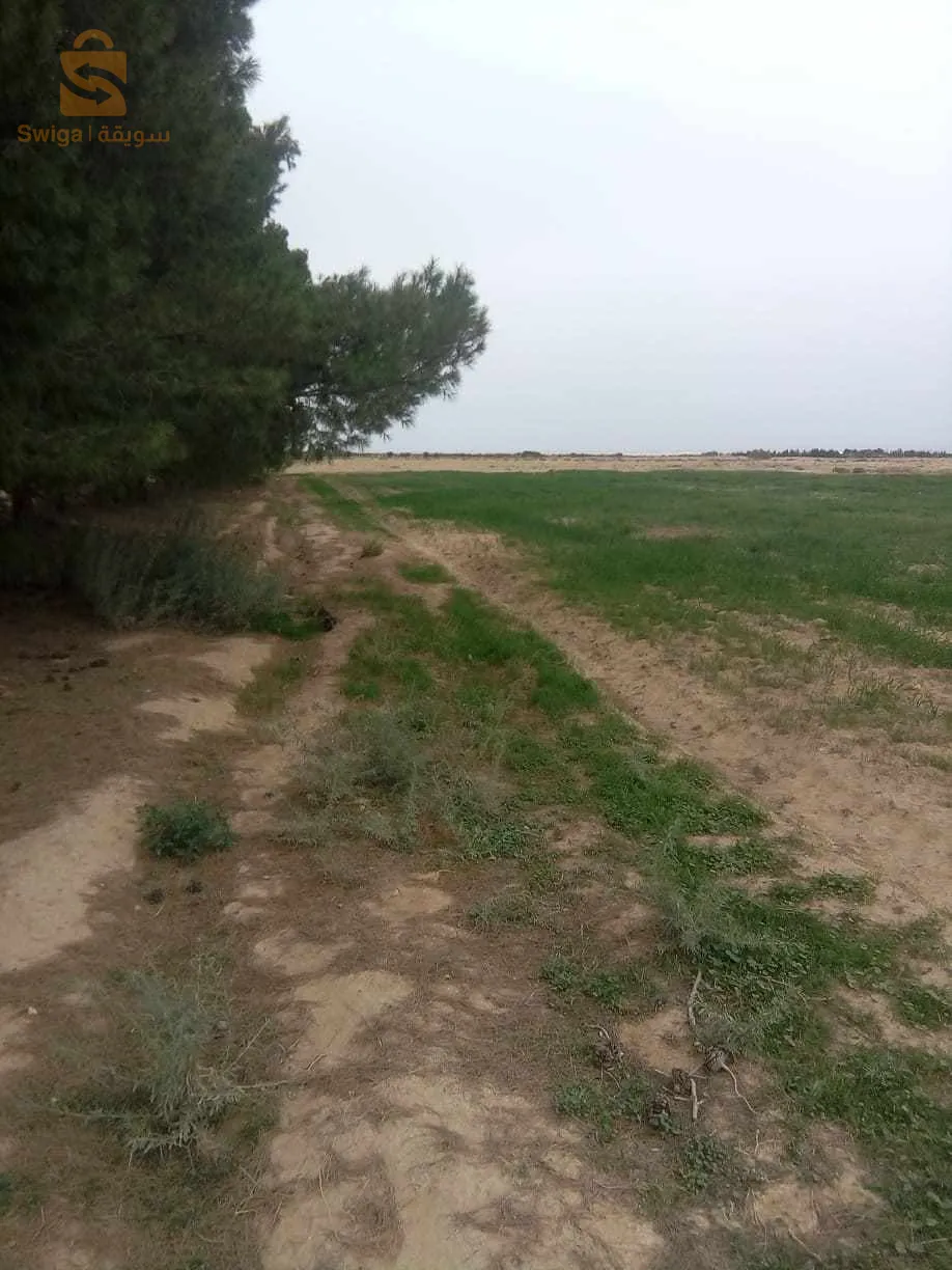 ارض فلاحية فيها 10 قطارات