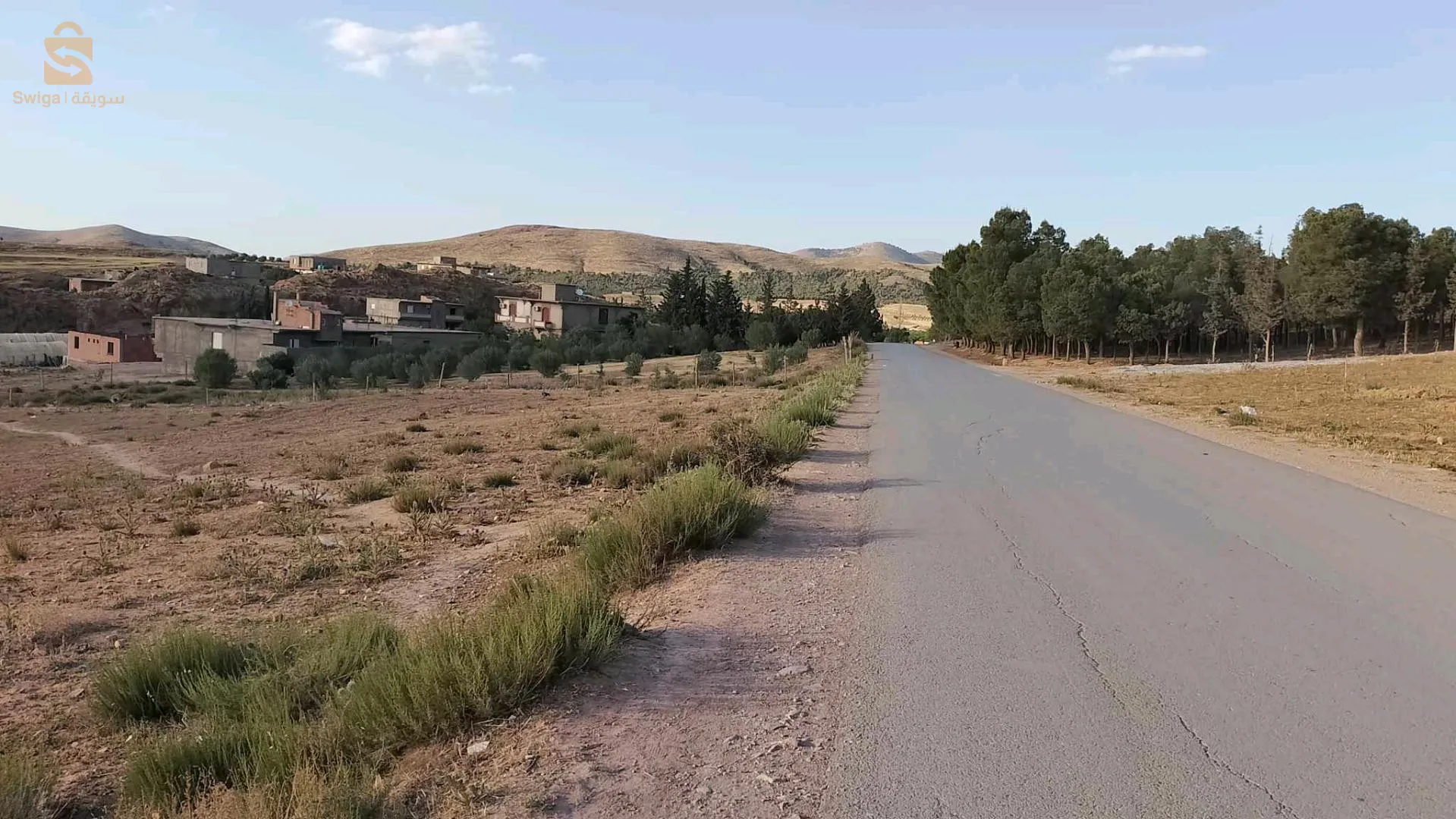 سطيف