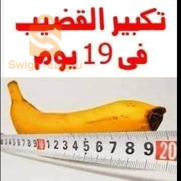 الخلطة الجكورا الروسية لتكبير القلم وعلاج سرعة القذف المبكر