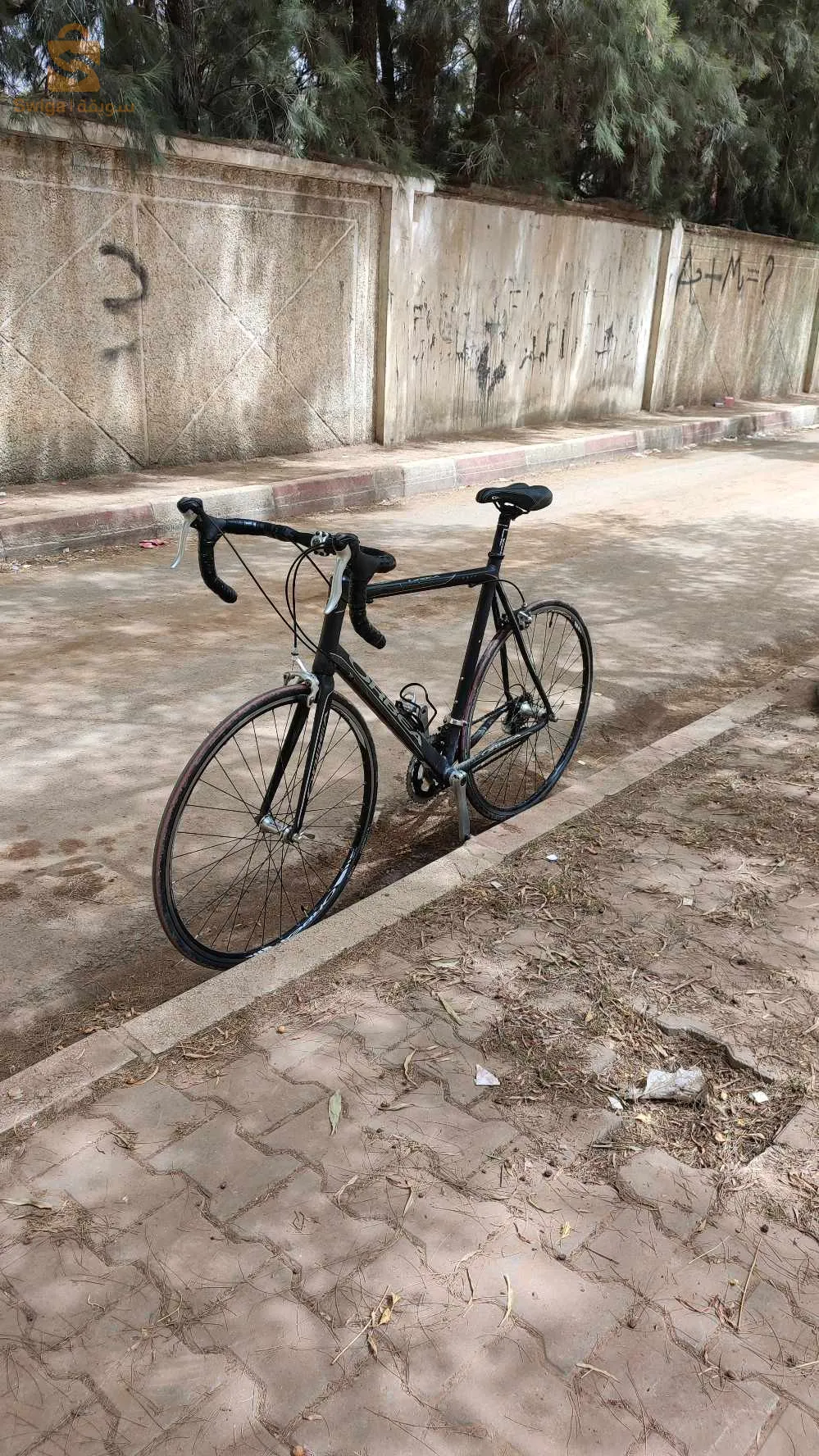vélo cours ORBEA taille 55 56 L XL bon état fiha martial chimano Sora 9 vitesse vélo makhasha Walo lahi. arak