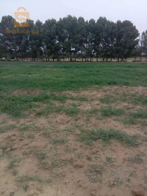 ارض فلاحية فيها 10 قطارات