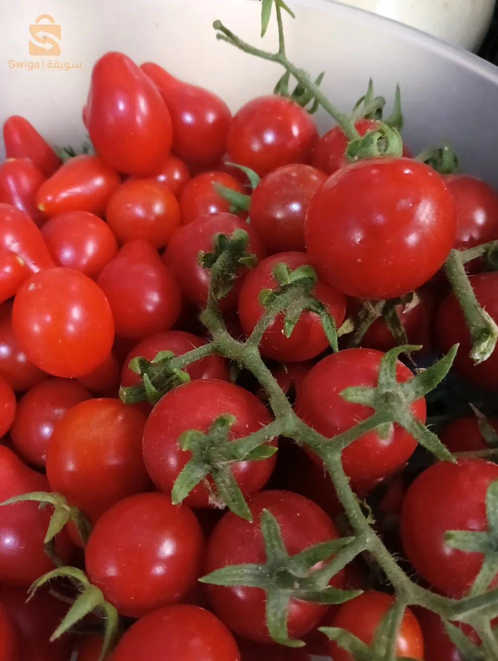 بذور من مزرعتي طبيعية و ناجحة بعد تجربة