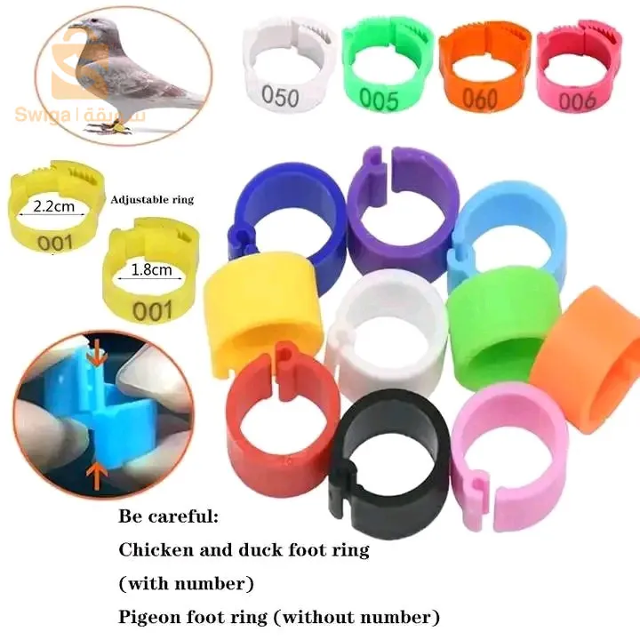 خواتم دجاج 😍