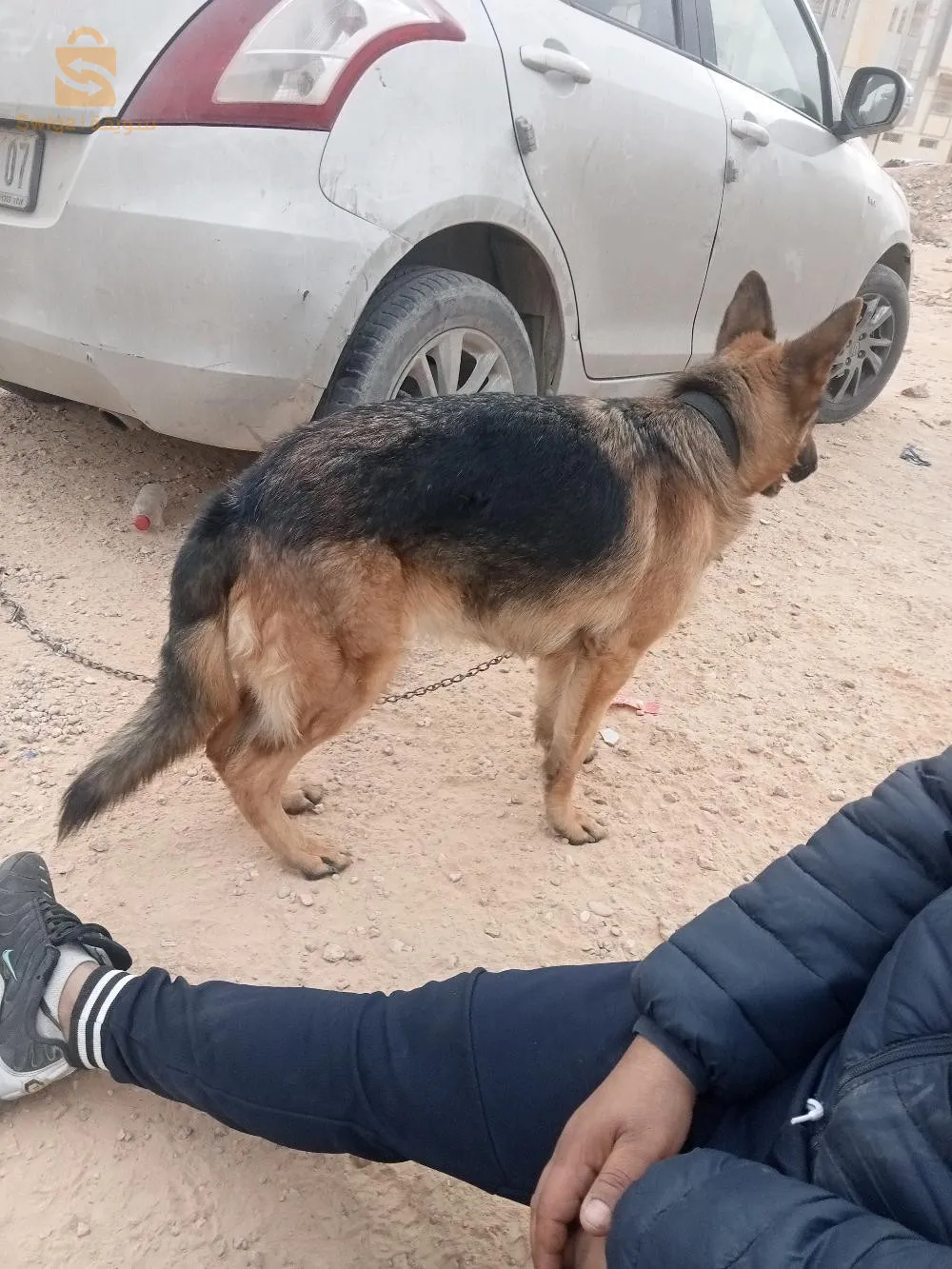 ولاية بسكرة0557247212