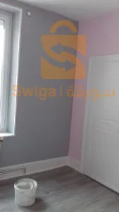 صباغة و دهان كل انواع الديكور