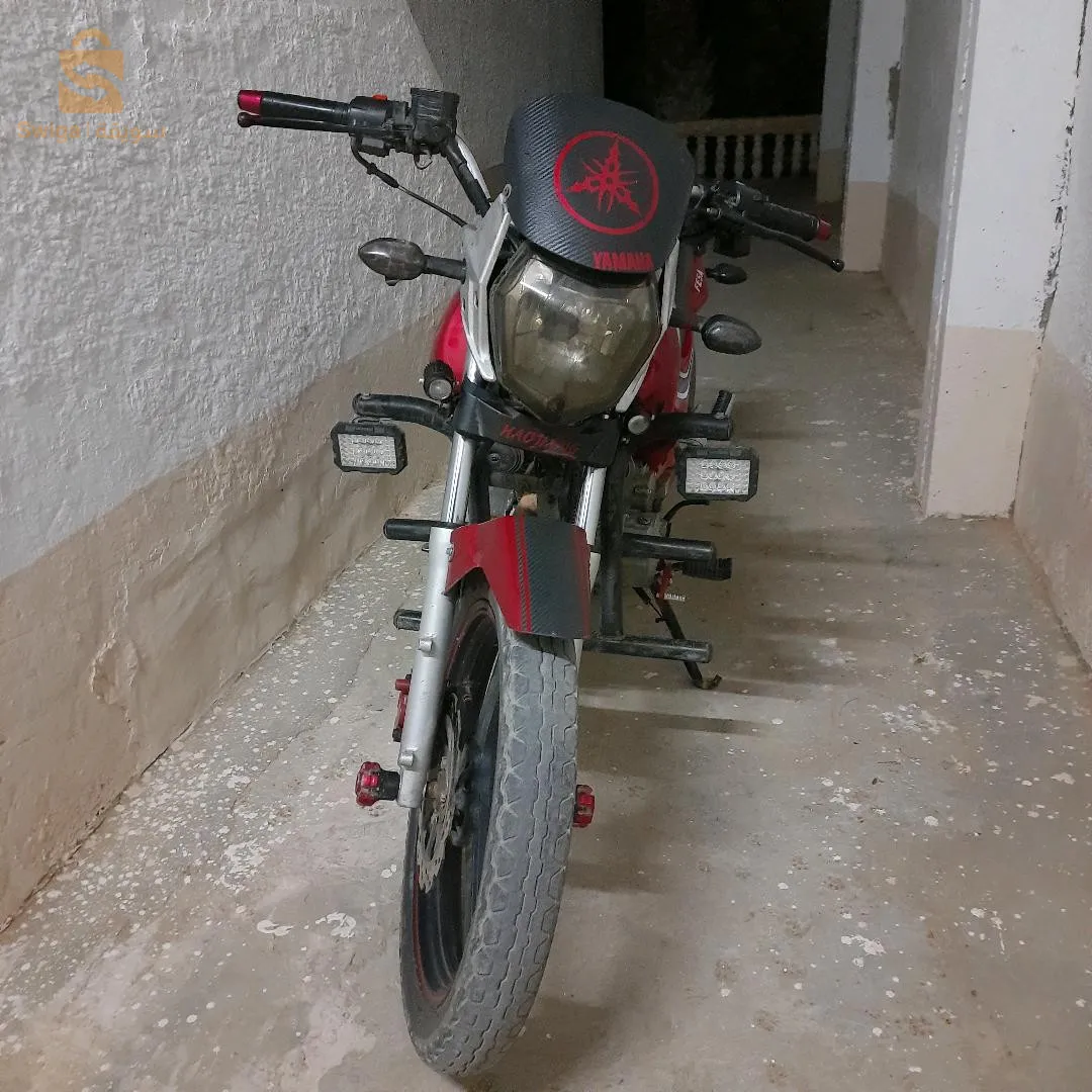 جديد