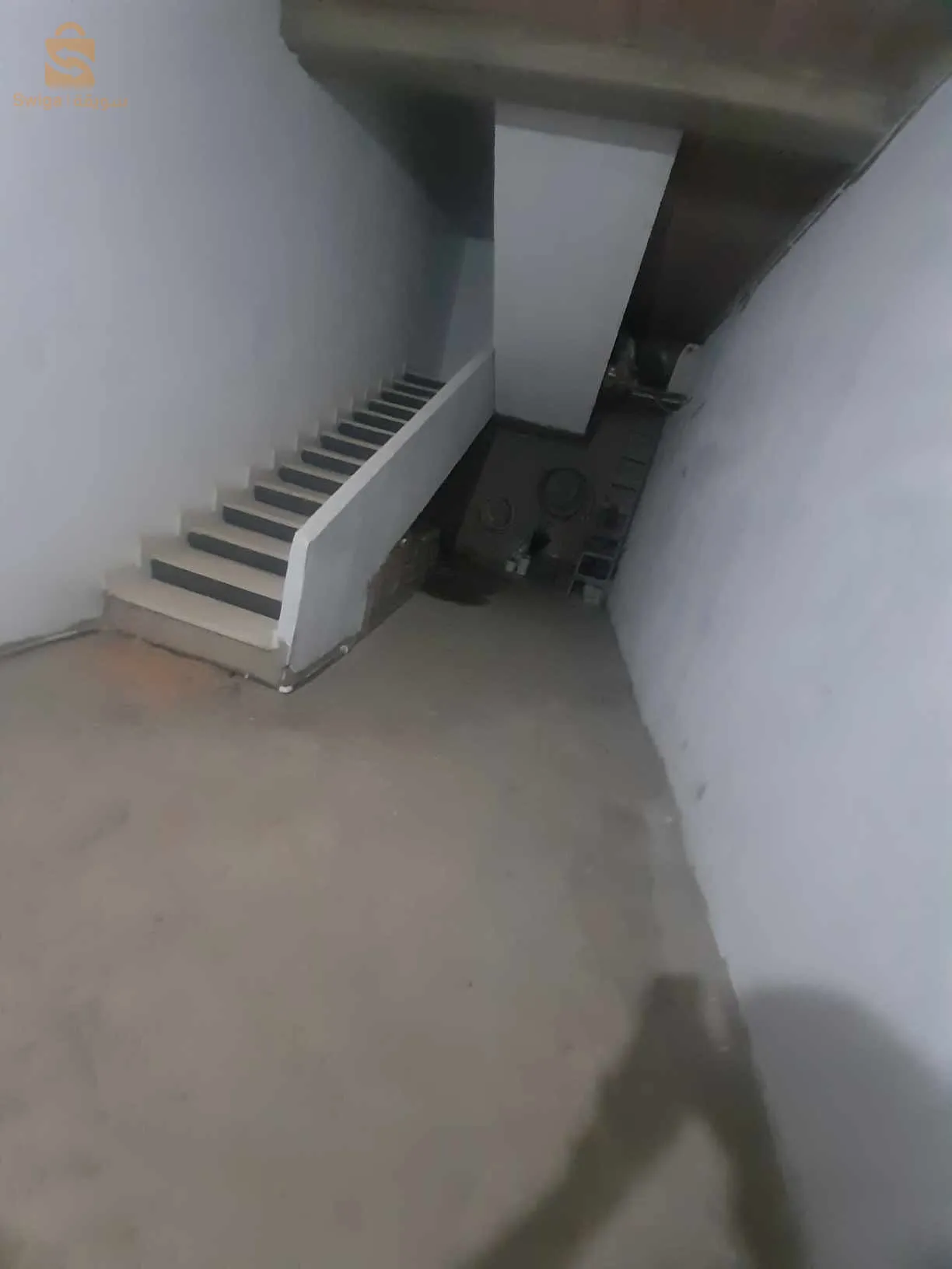 الزاوية