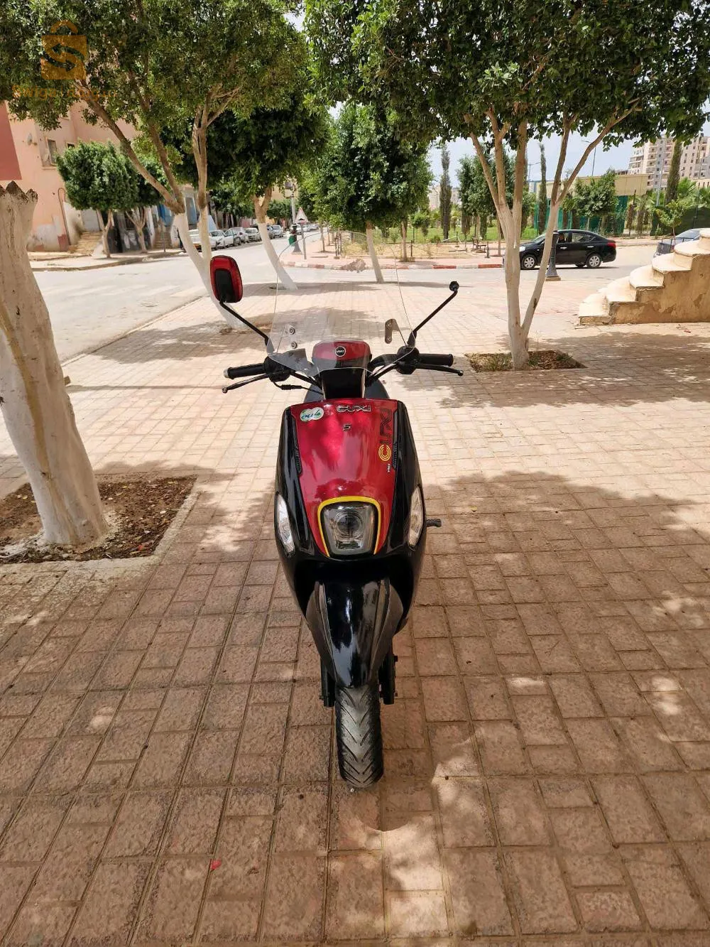 حي بن سونة الشلف