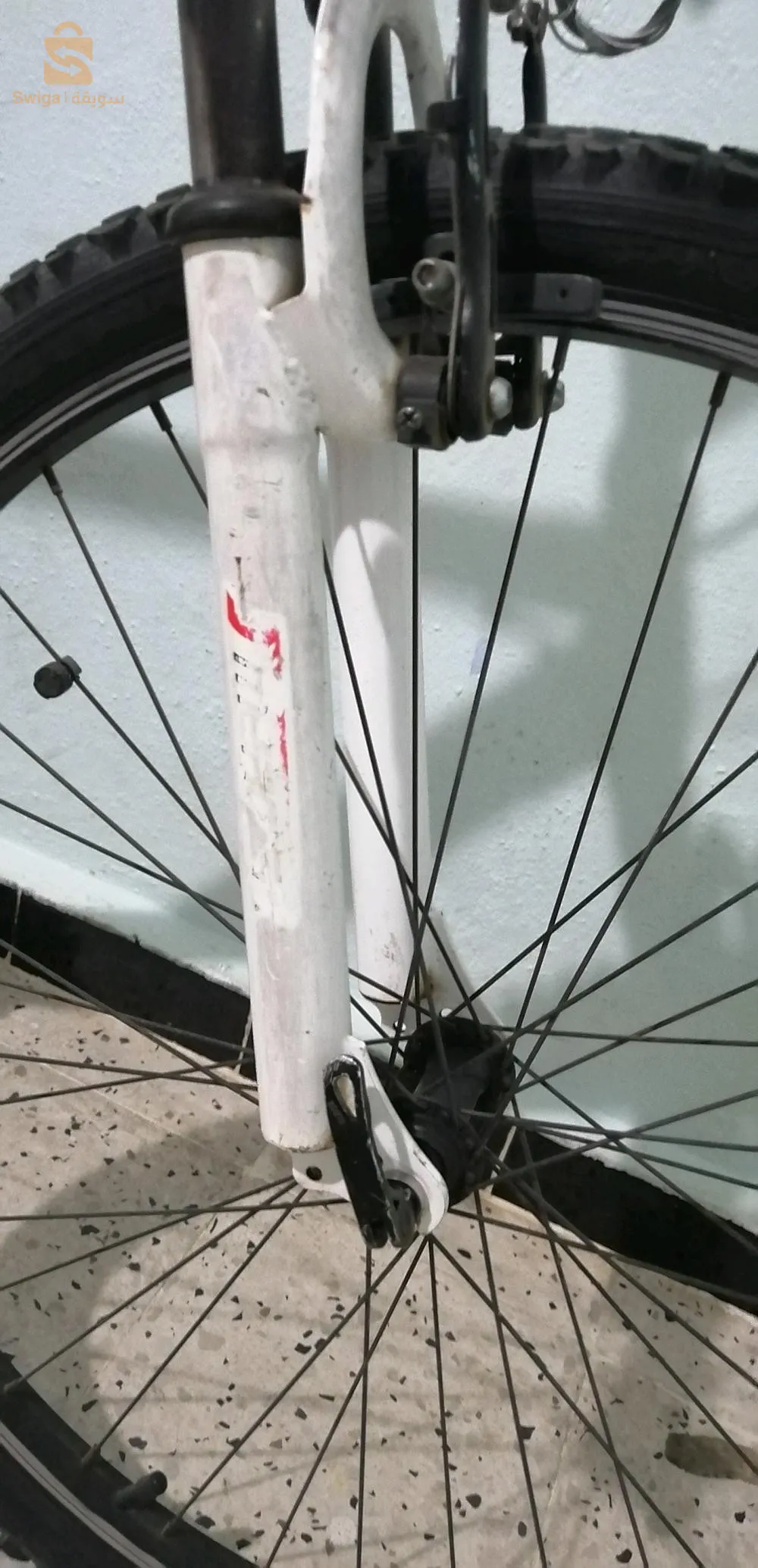 rider25
3/9 vitess