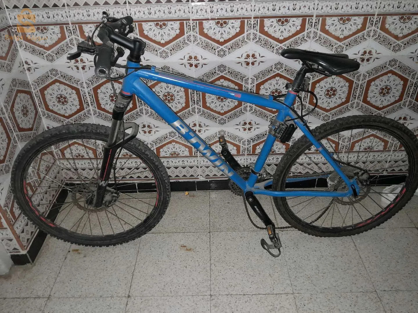 بن طبولة السعيد