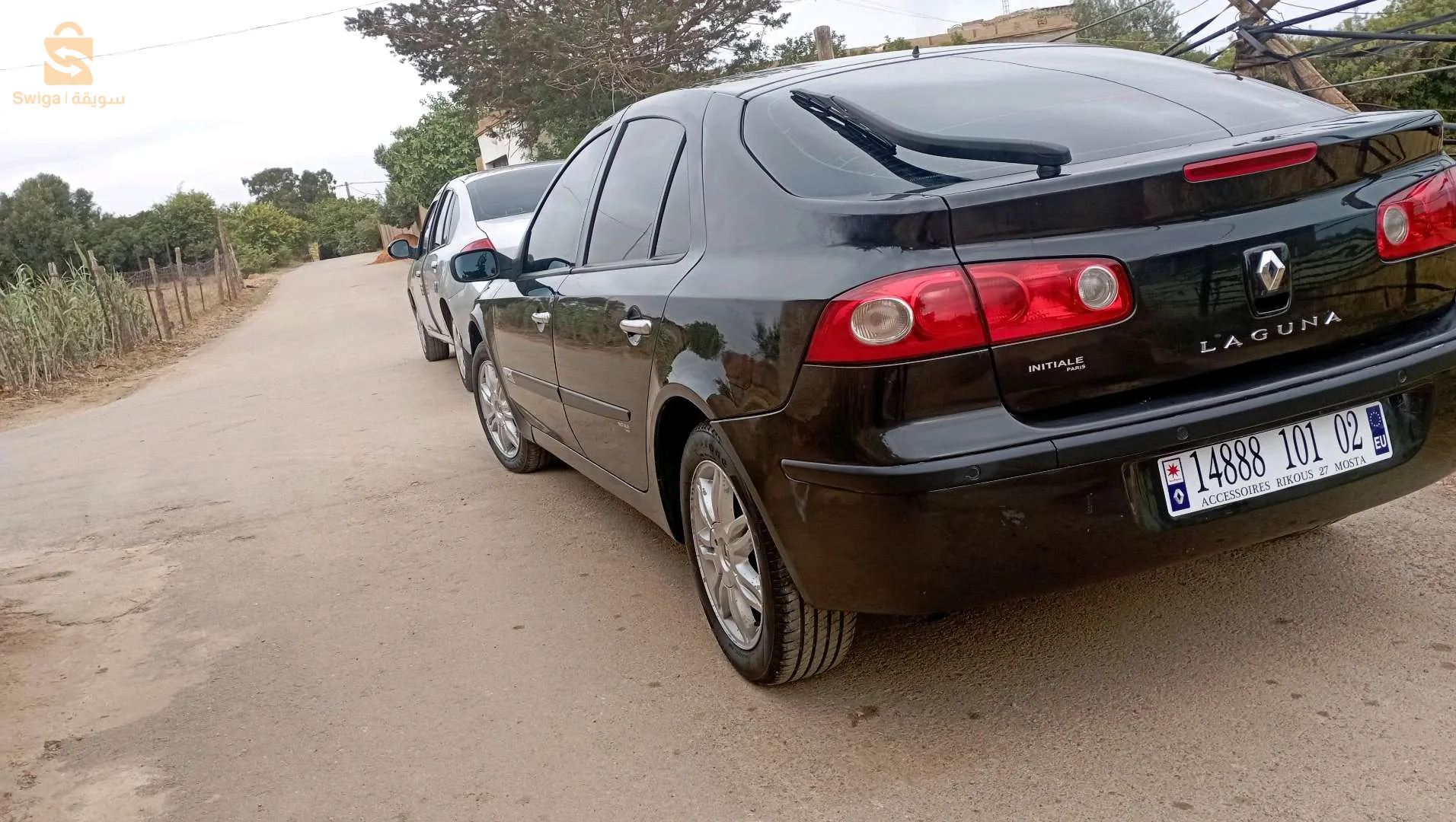 خضرة مستغانم