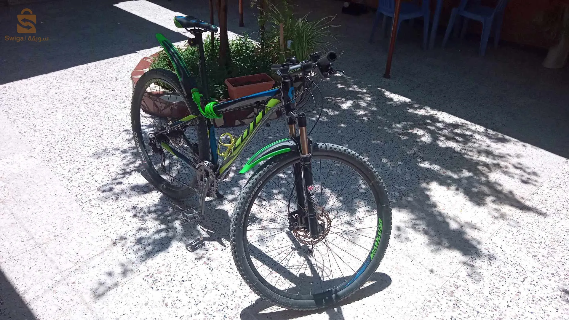 درجة هوائيّة سينكروس الإيطالية