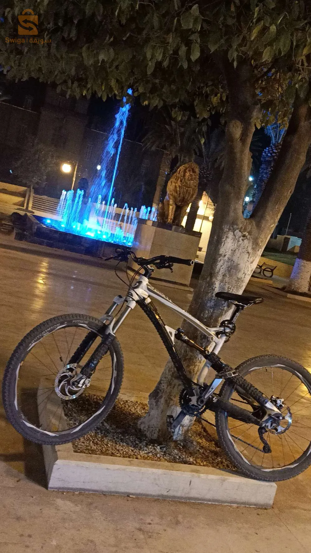 سعيدة حي. صومام