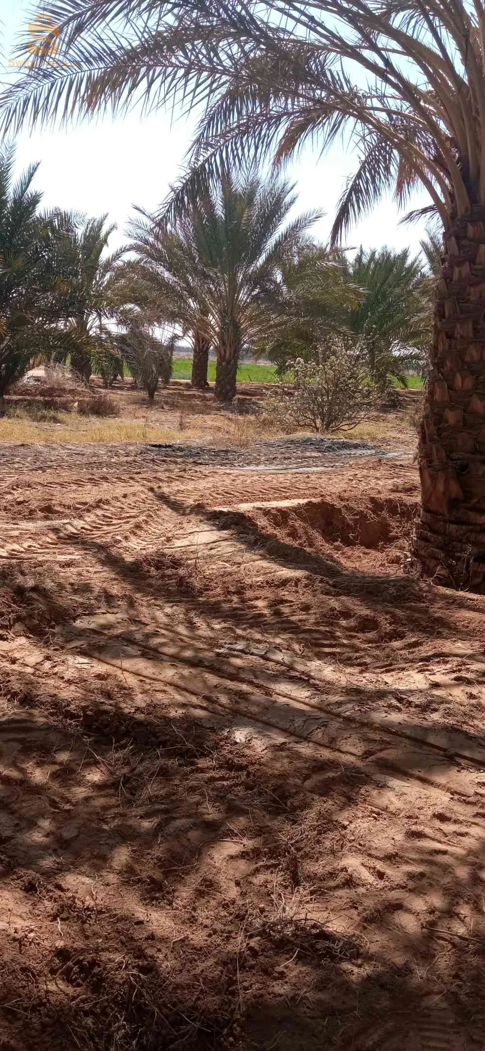 بلدية الدوسن ولاية أولاد جلال