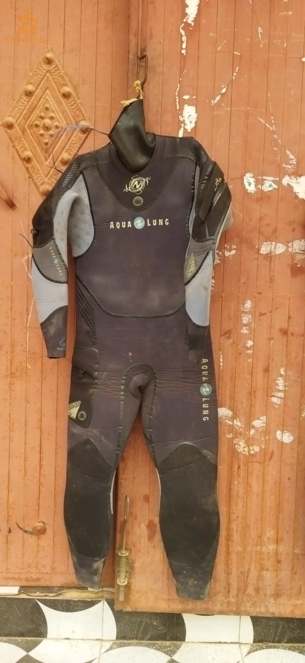 الجزائر