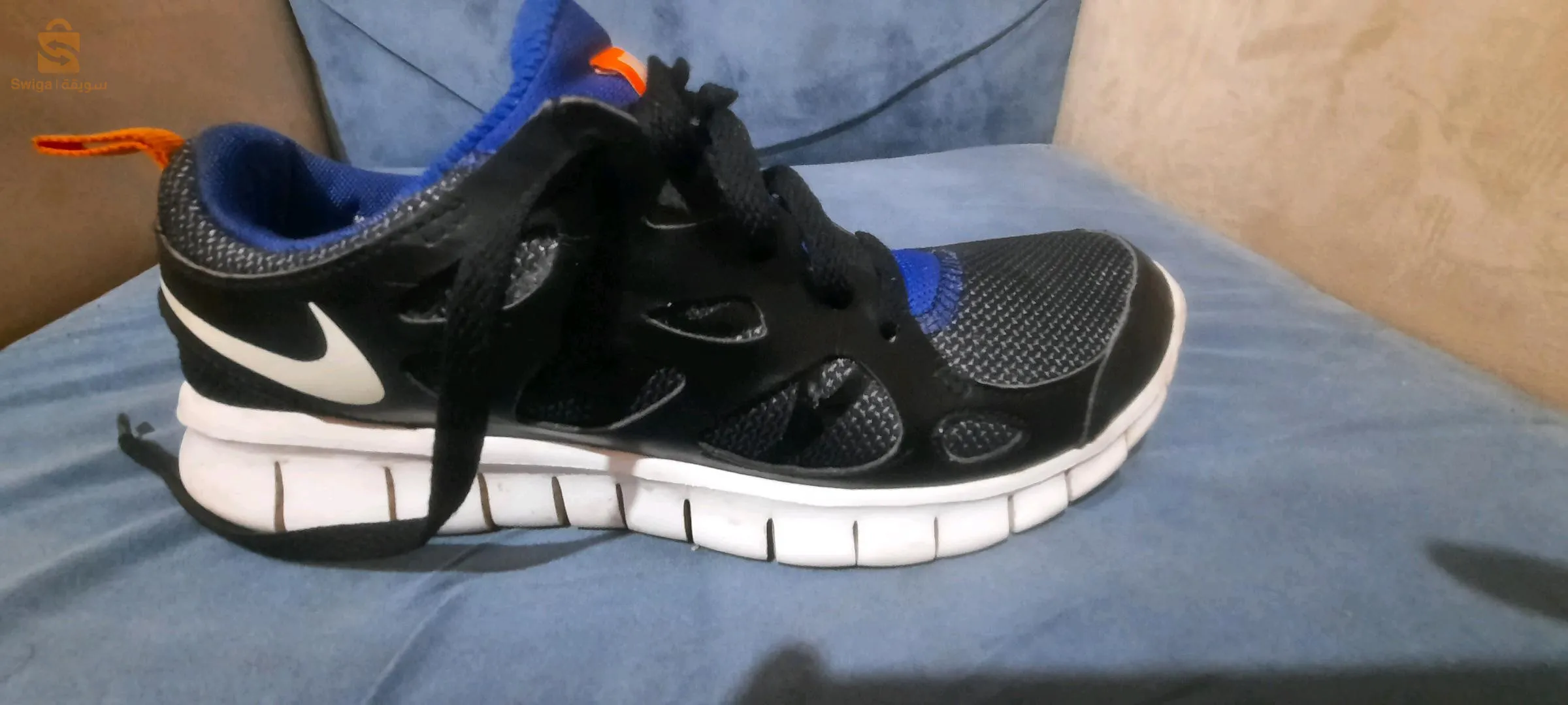 باسكات شابة حبة نقية 
original ✅️