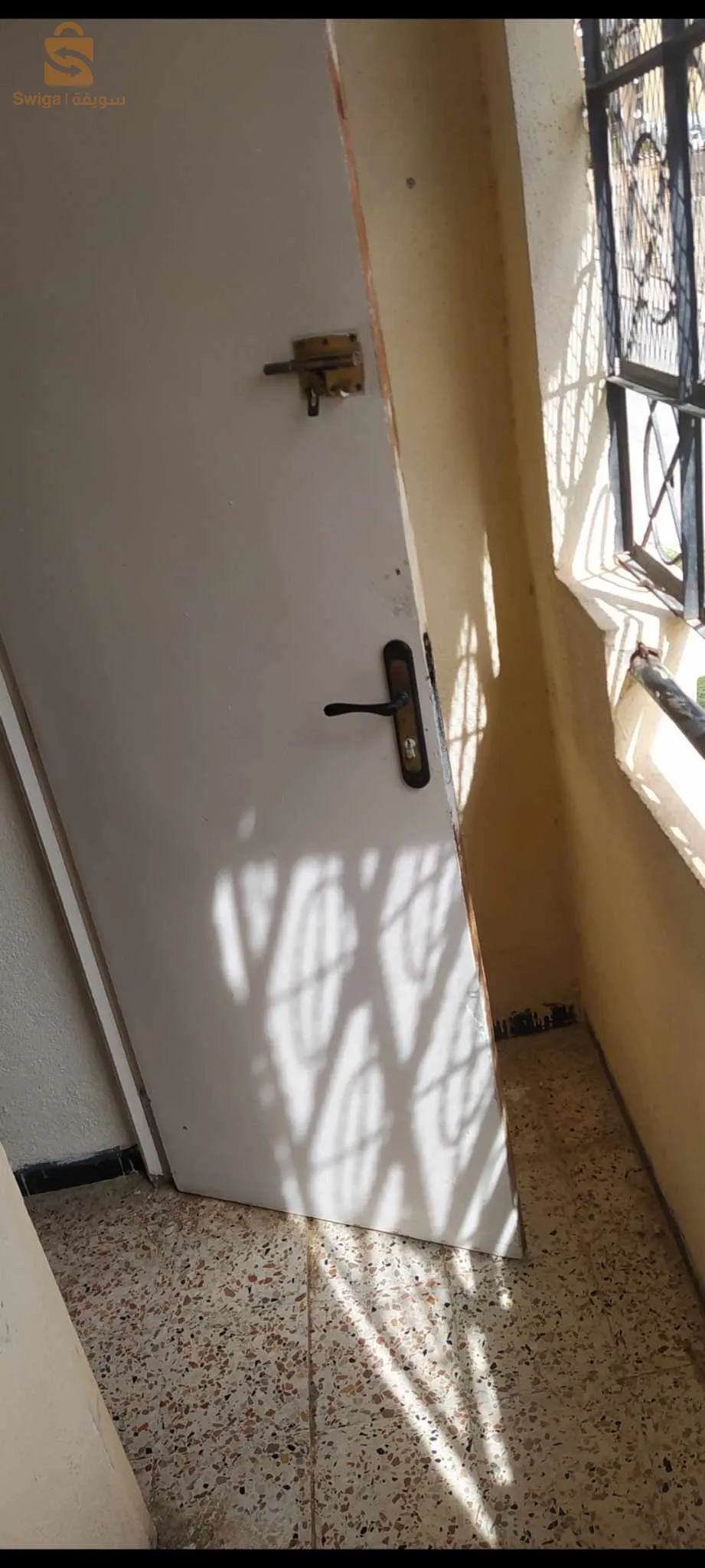 ماسينيسا - الخروب