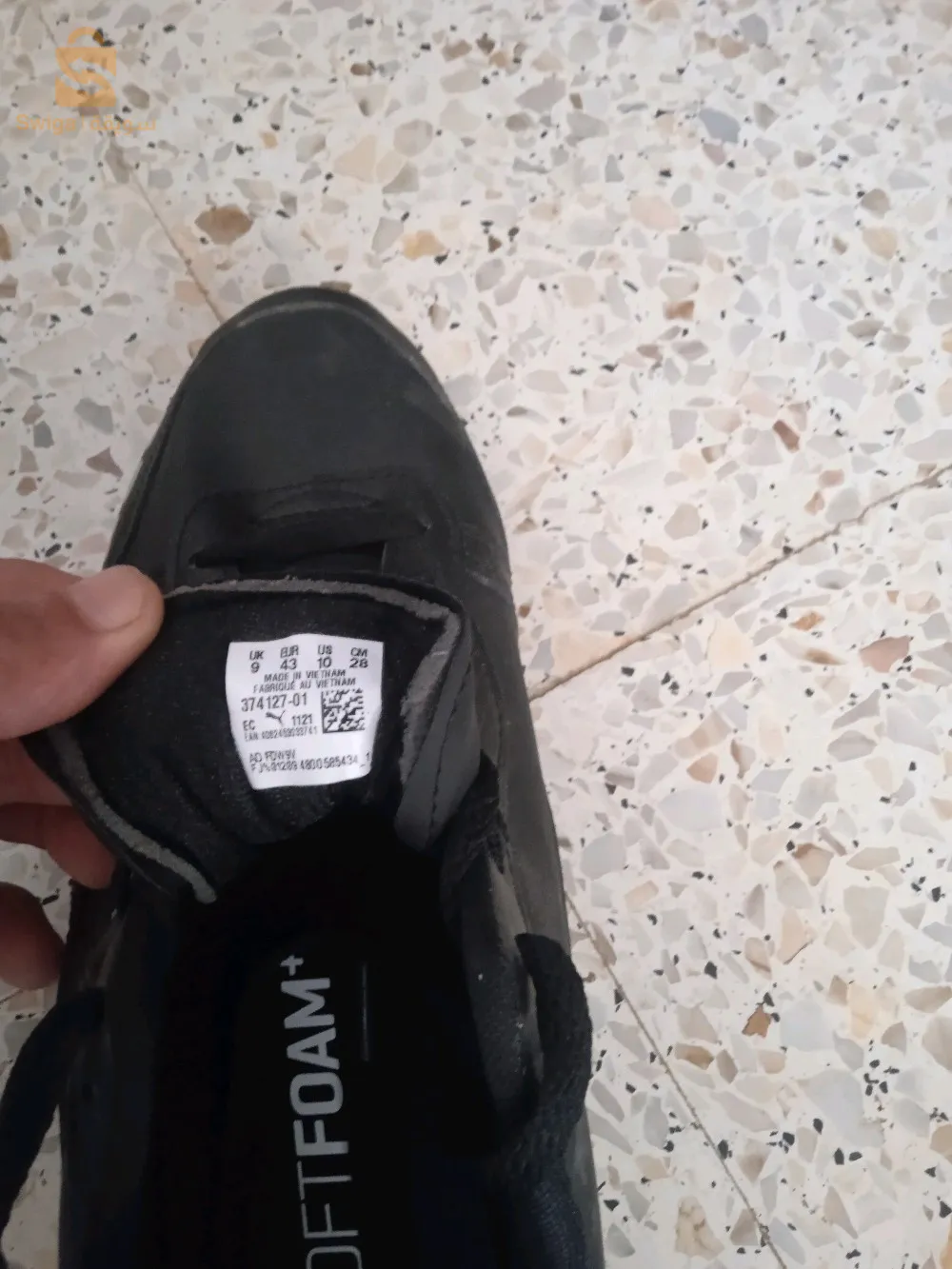 الشولي تلمسان