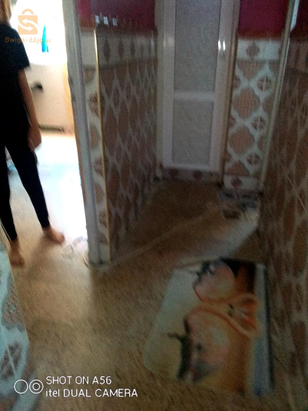 وسيط عقاري شط ولاية طارف