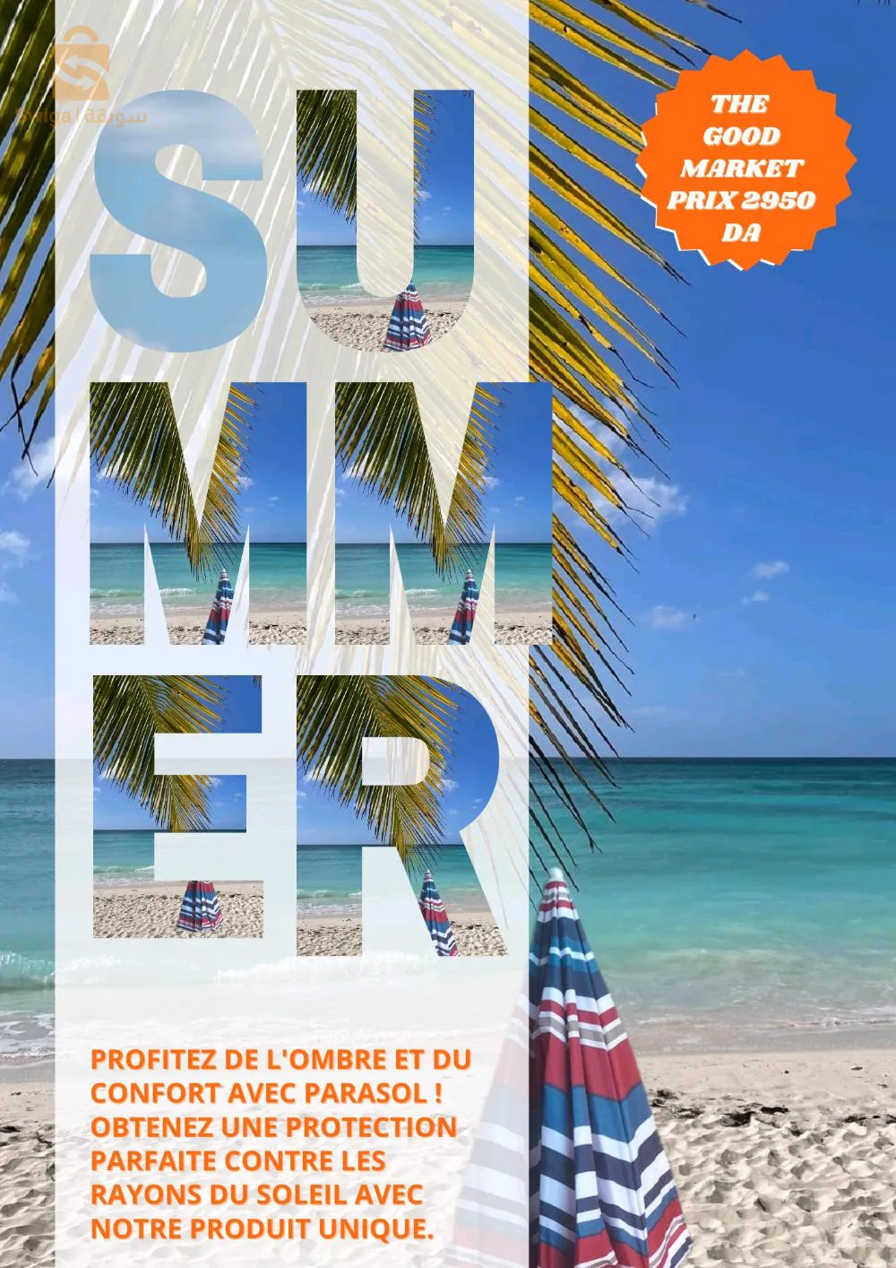 parasol مضلات البحر