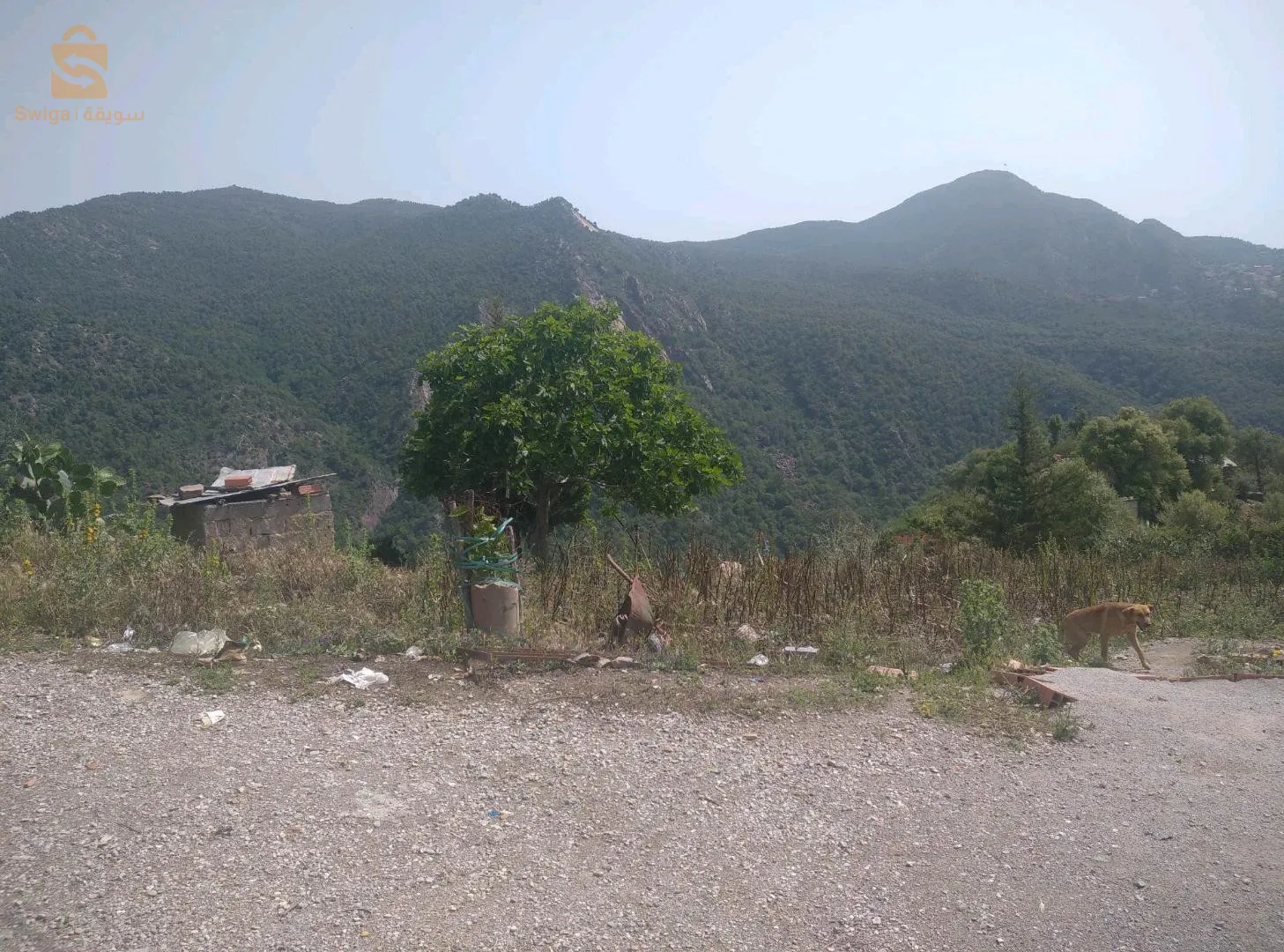 deux parcelles de terrain