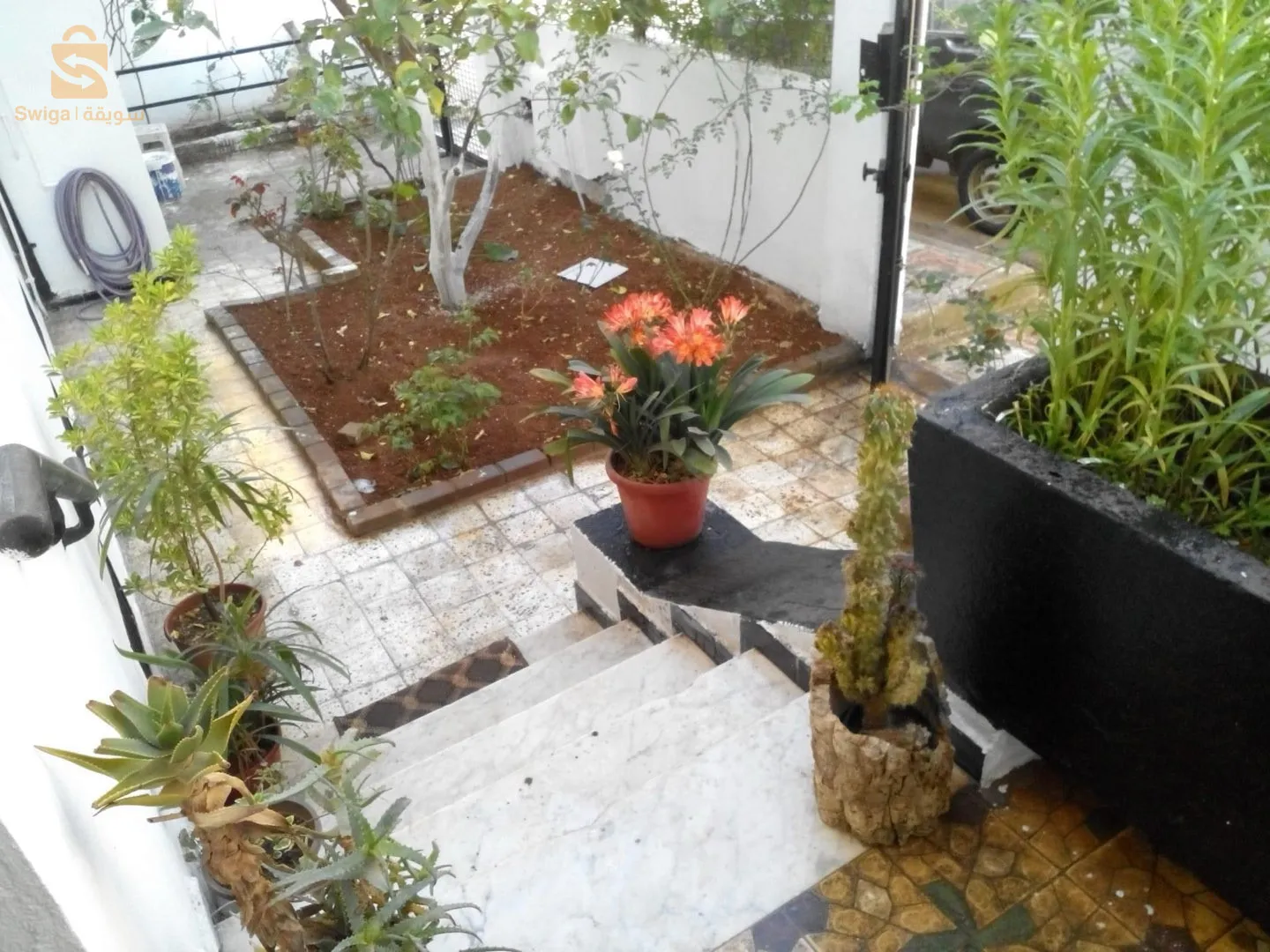 vente maison Miliana