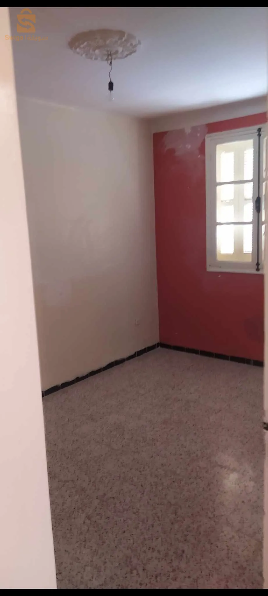 ماسينيسا - الخروب