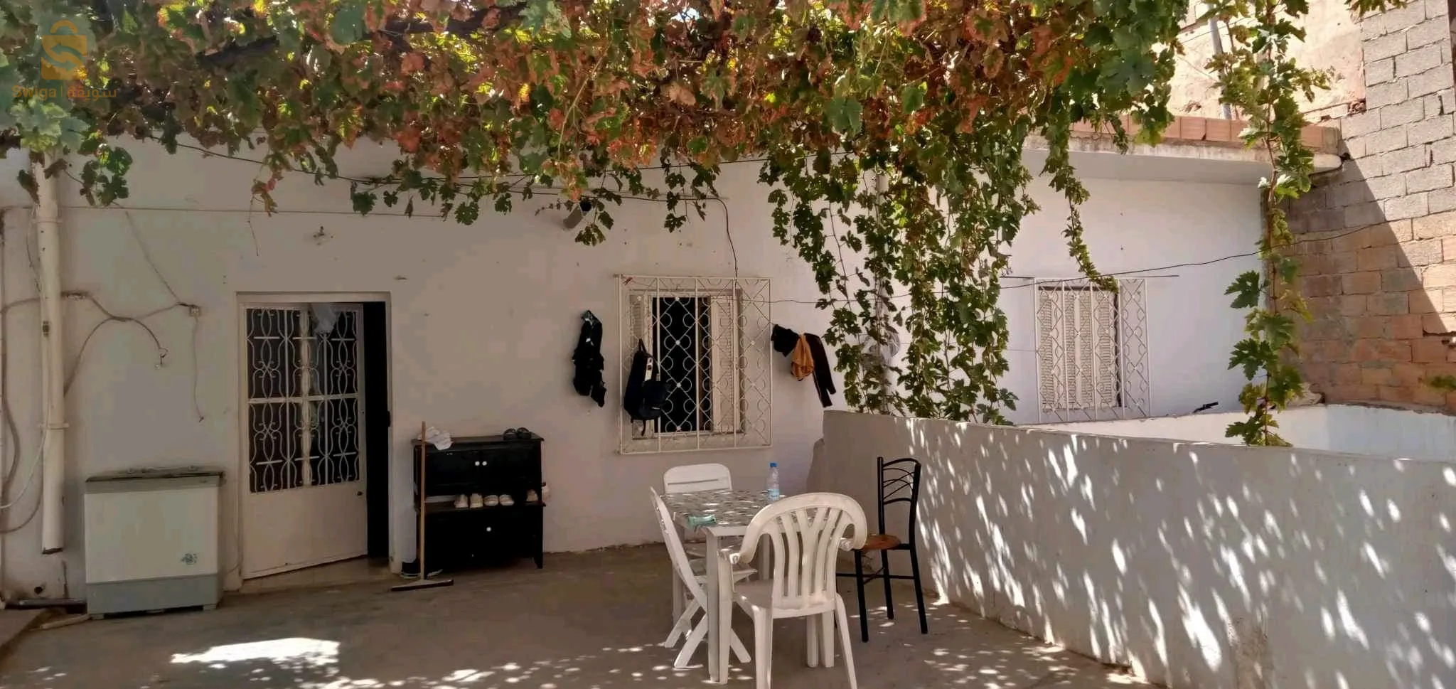 ابوتشغين تلمسان