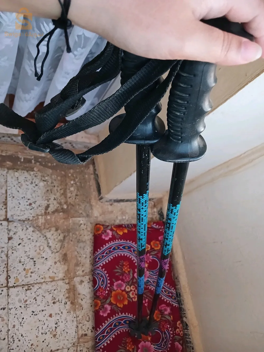 عصا سكي للمشي