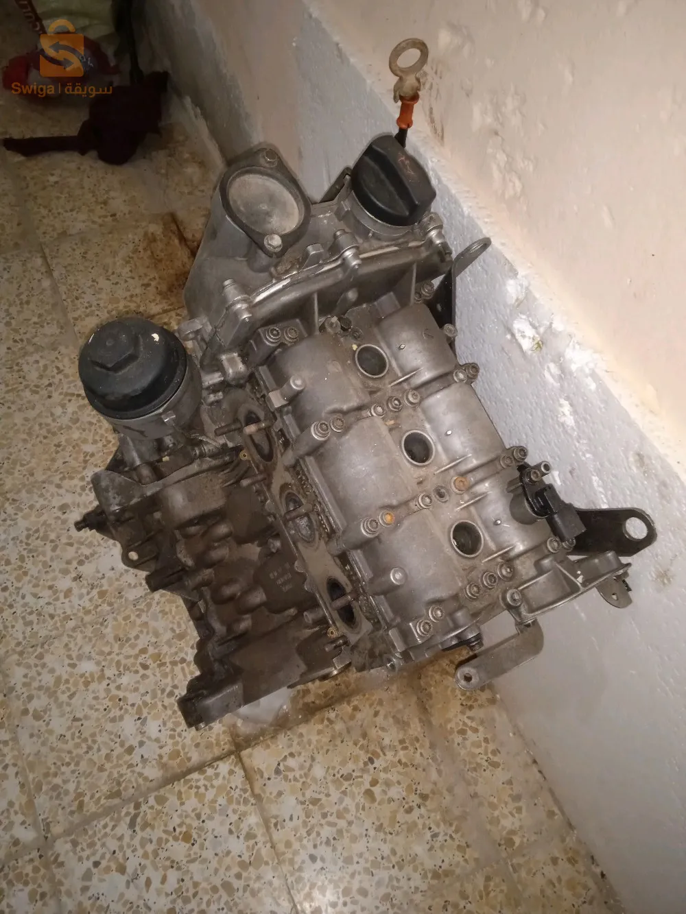 حمادية ولايت تيارت