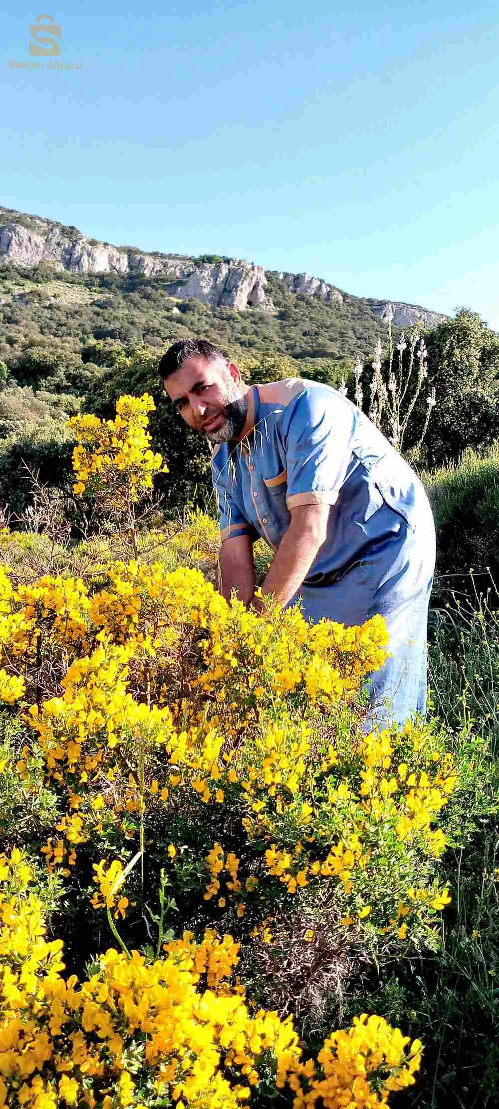 أبحث عن عمل كسائق صنف ب وصنف ج