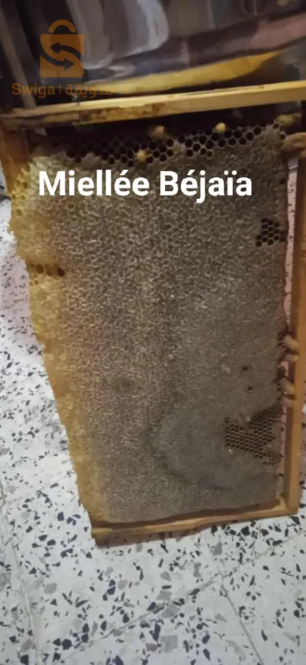 Miel et produits de la ruche