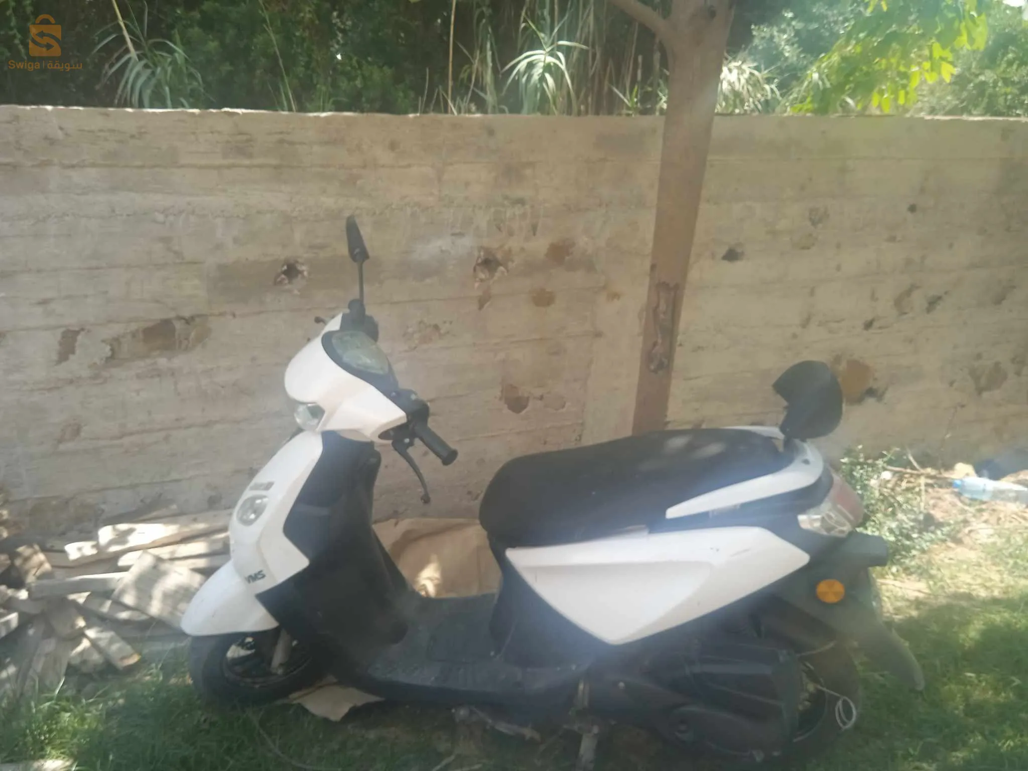 دلس بومرداس