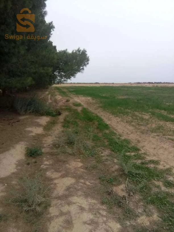 ارض فلاحية فيها 10 قطارات