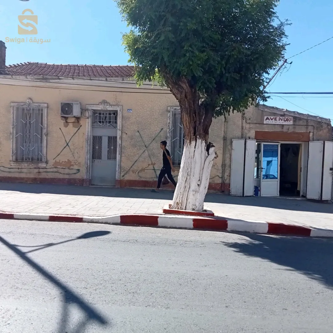 عين فارس مقابل الطريق الوطني رقم سبعة (معسكر الجزائر العاصمة )