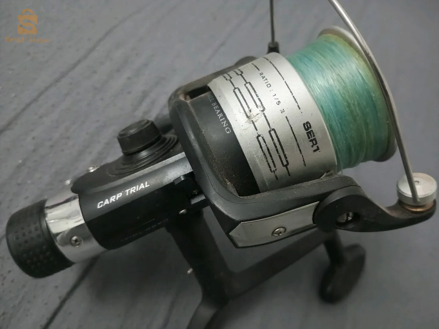 موليني. للصيد